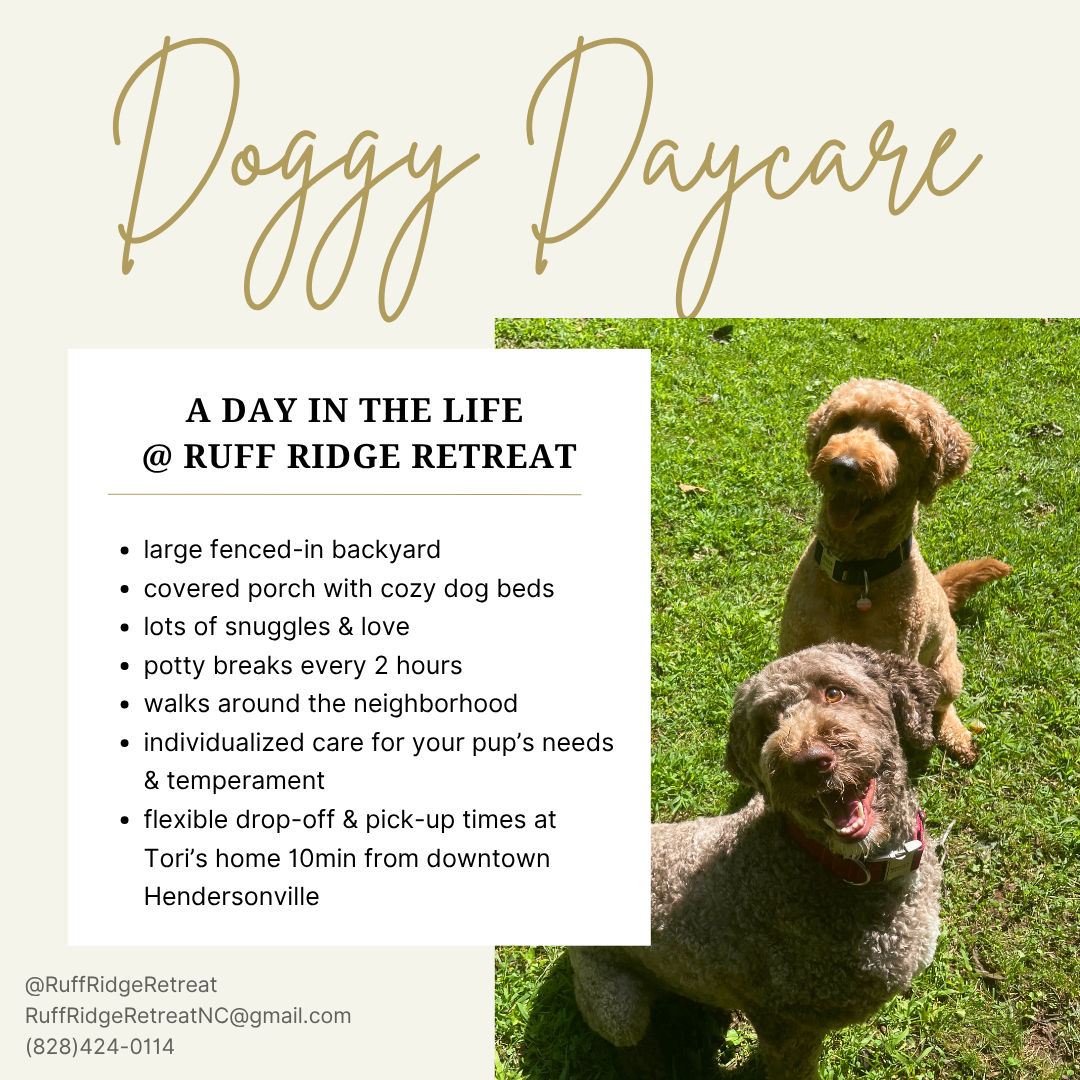 Doggy Daycare