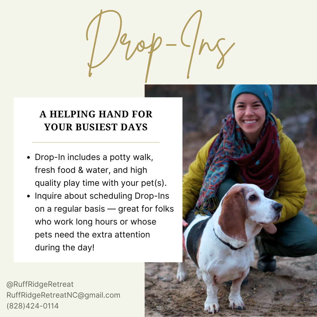 Drop-Ins