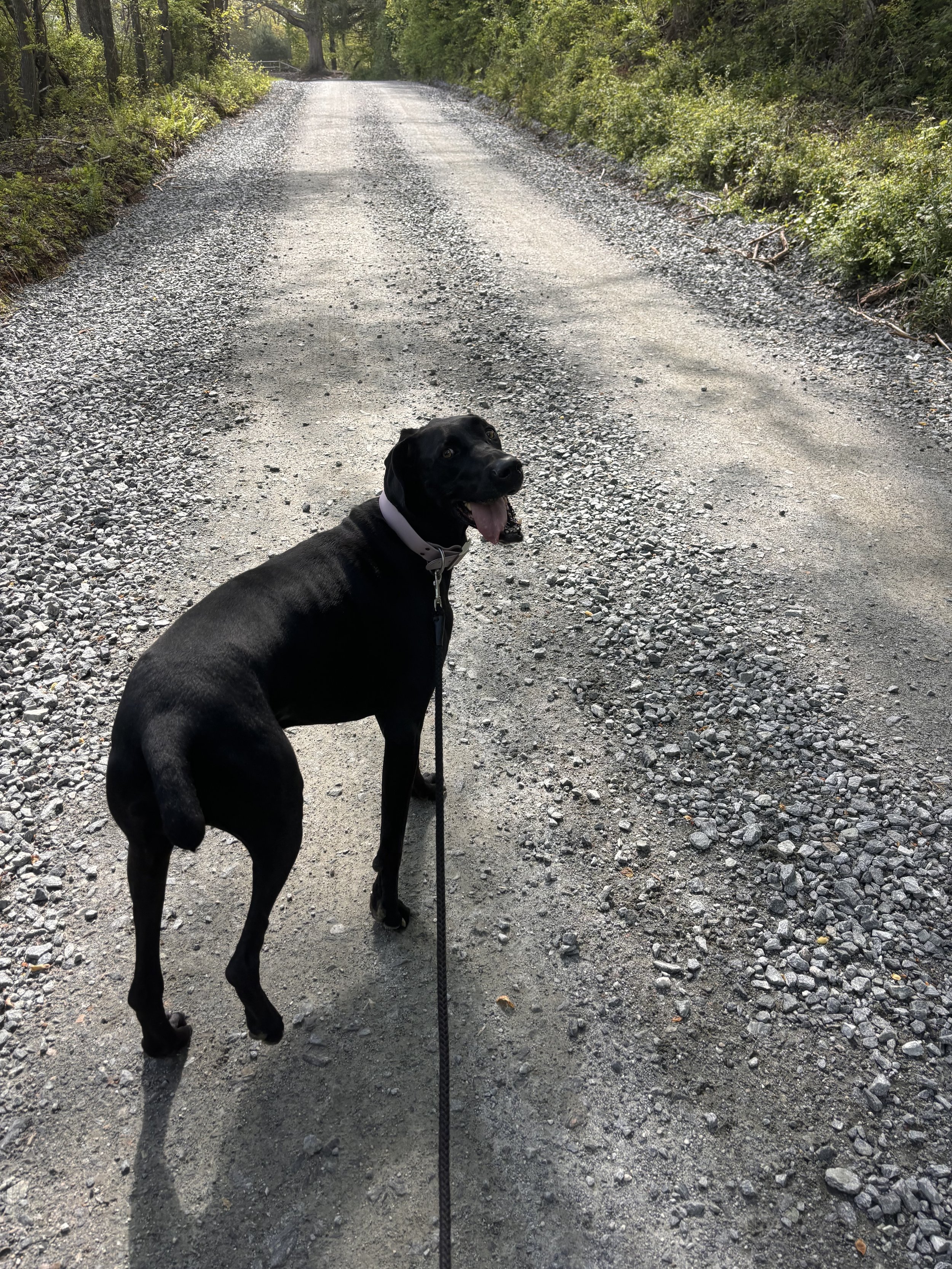 IMG_3839.jpeg