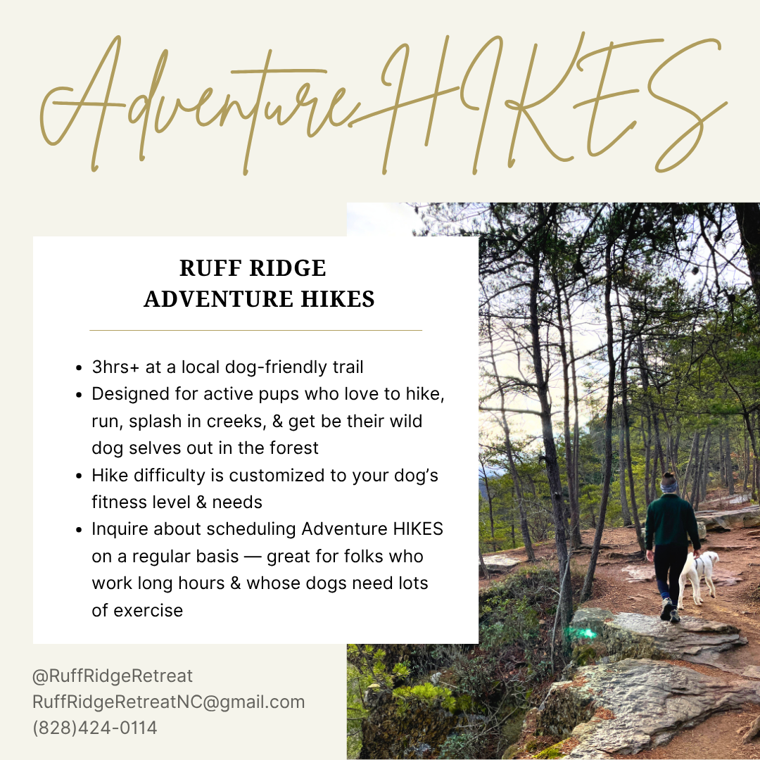 Adventure HIKES