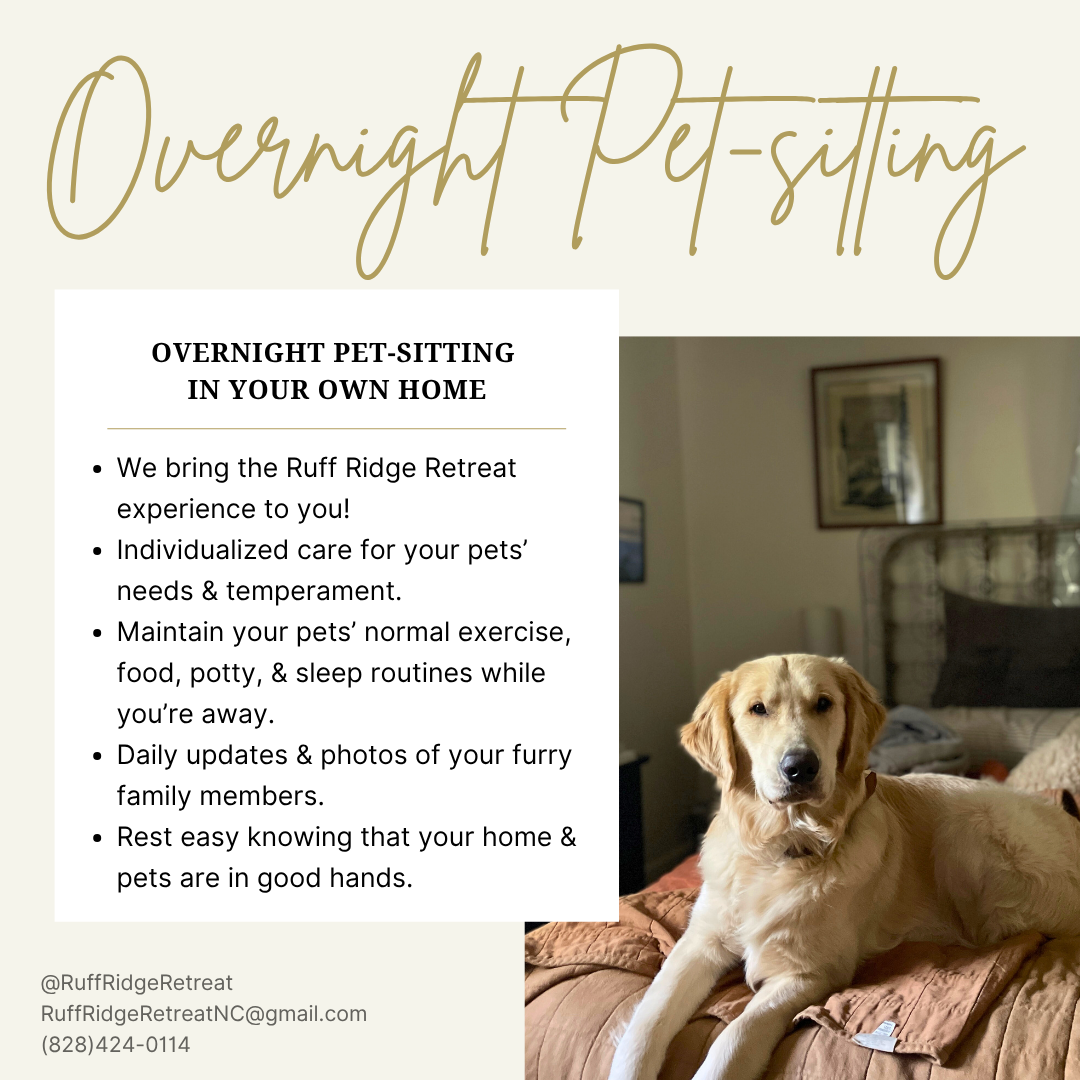 Overnight Pet-Sitting: In-Home