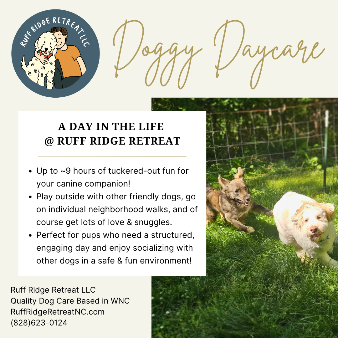 Doggy Daycare