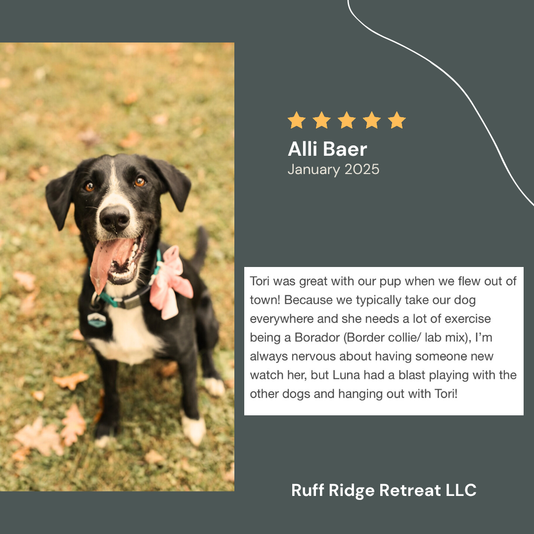 Alli Baer Review - Luna.png