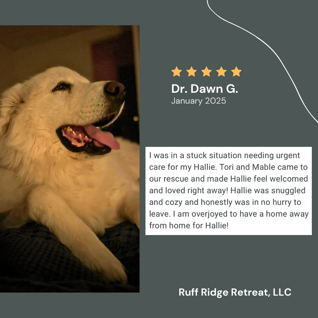 Dawn G. Review.png