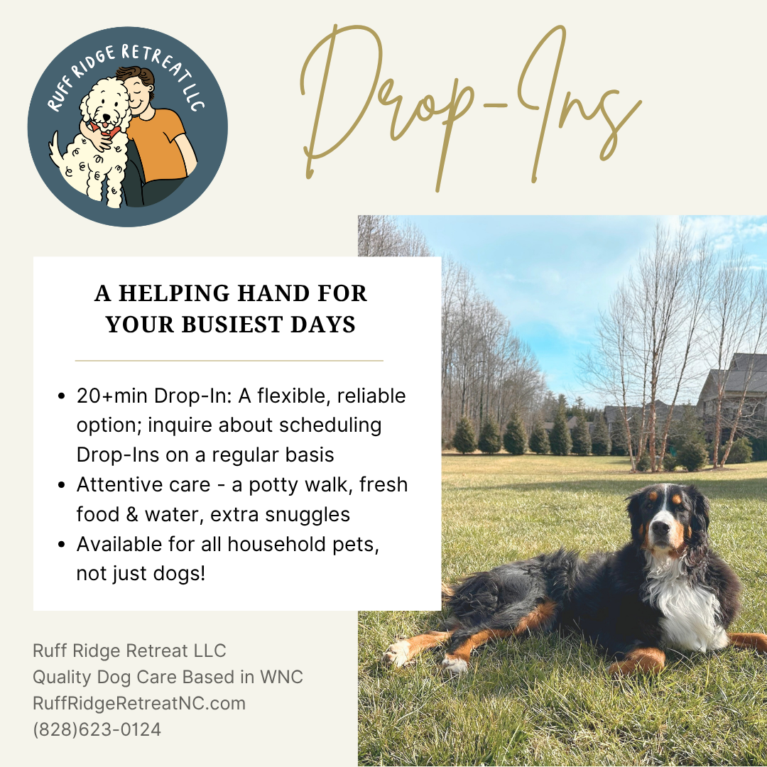 Drop-Ins