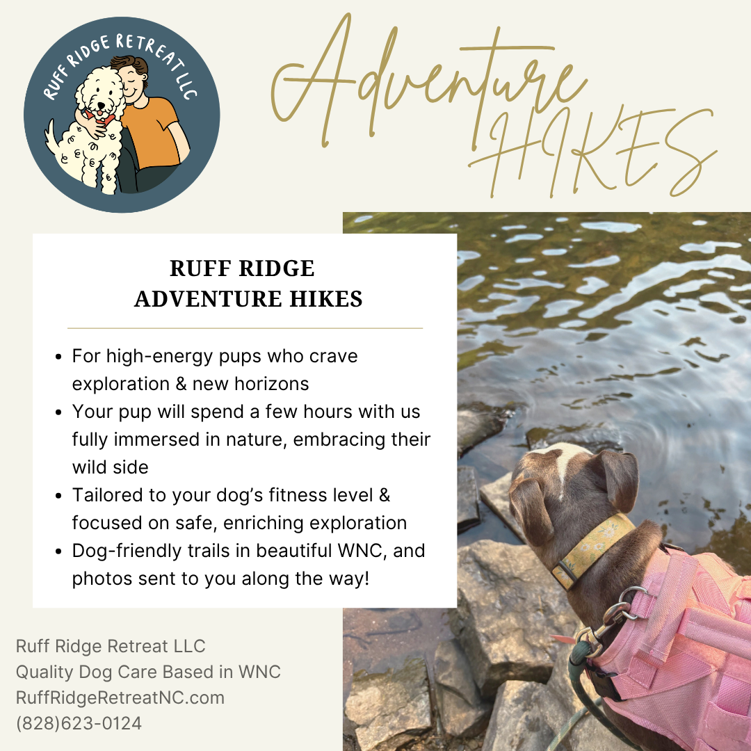 Adventure HIKES
