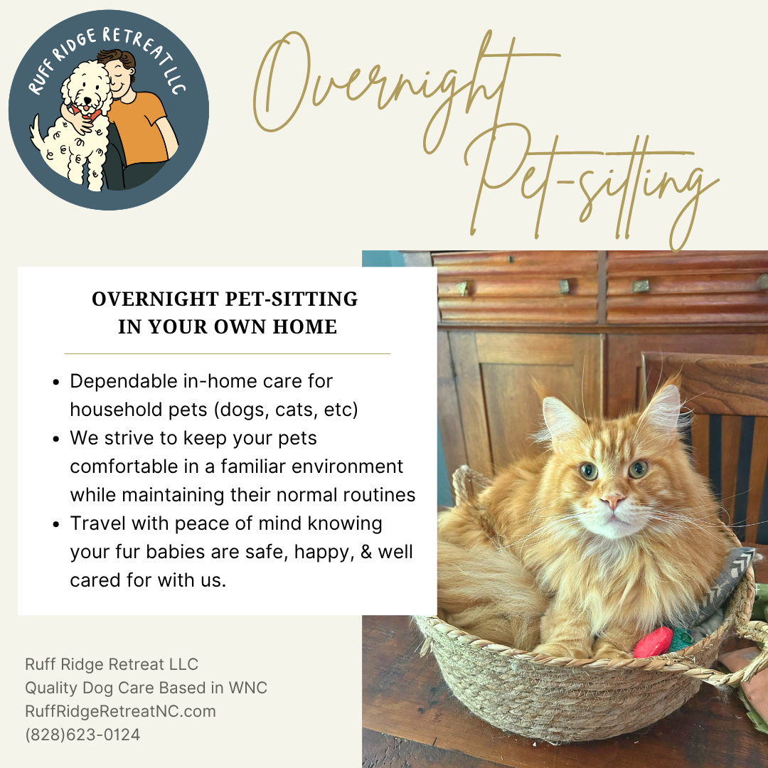 Overnight Pet-Sitting: In-Home
