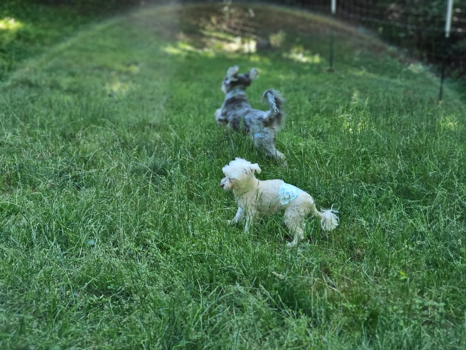 image000001.jpg