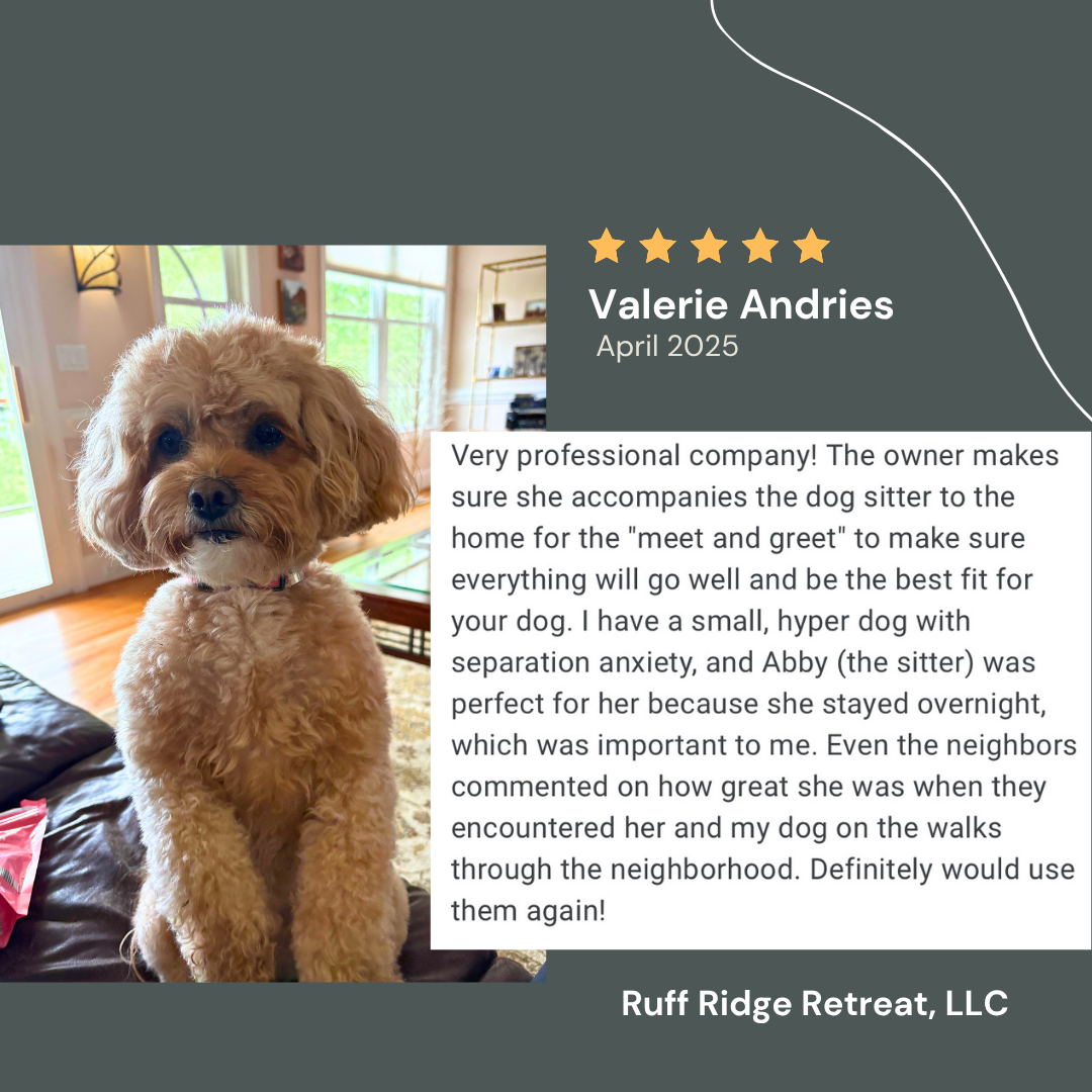 Polly review - April 2025.png