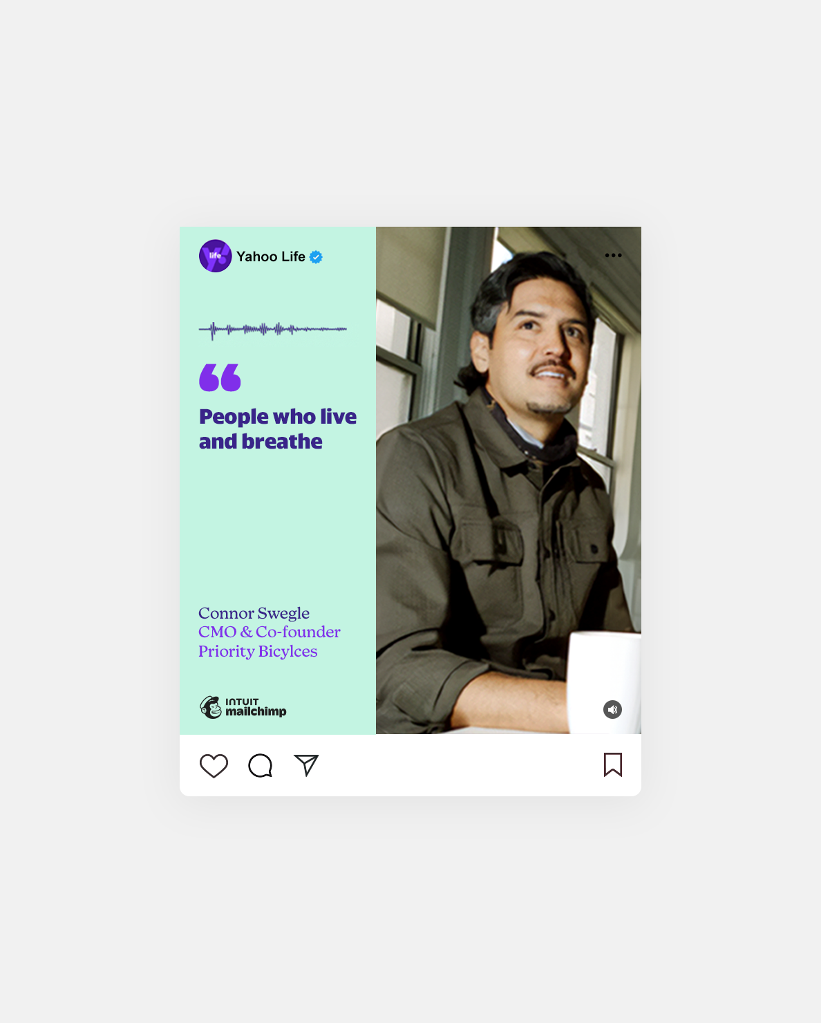 Mailchimp-Audiogram-1.png