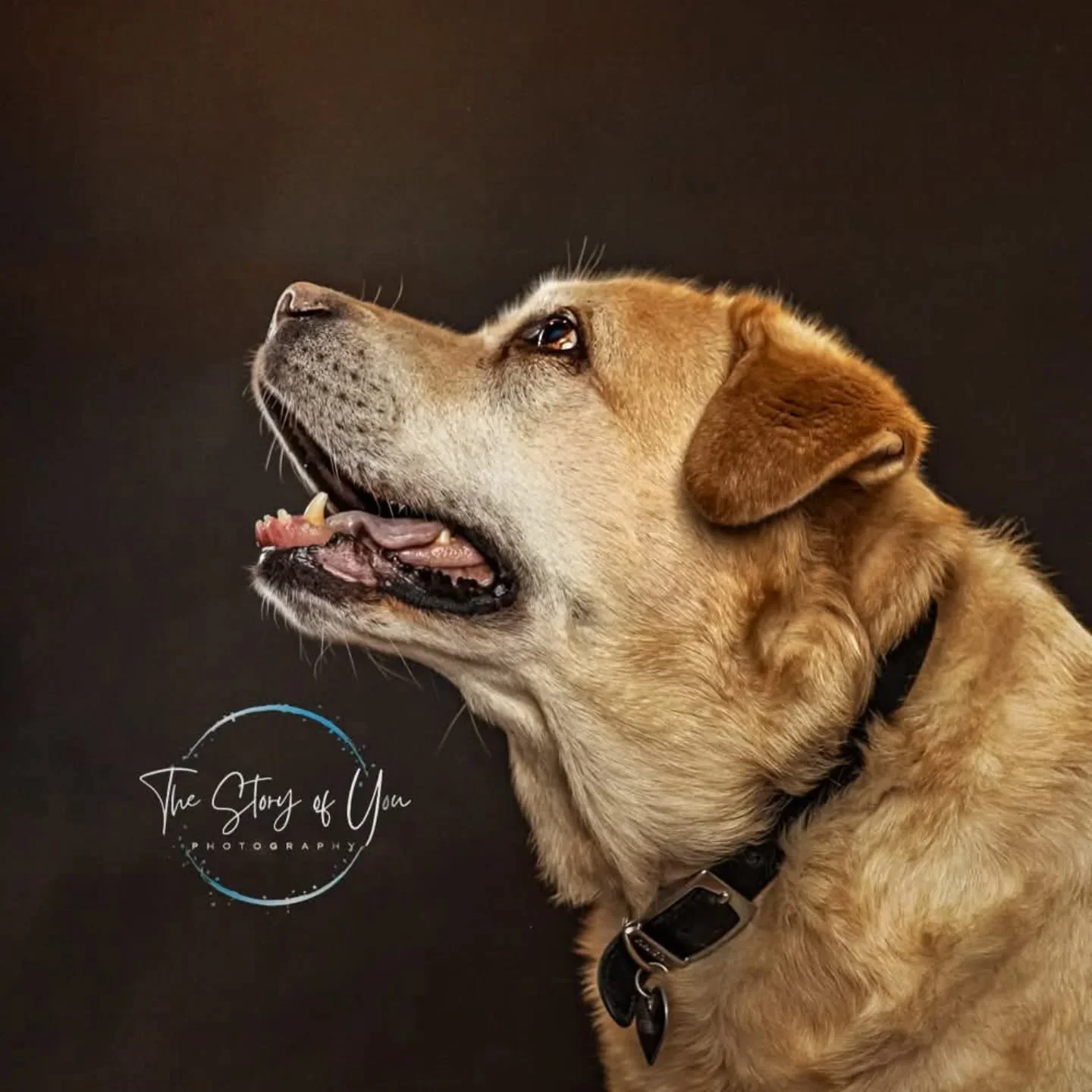 Beautiful boy Lexas came to the studio this week for a photoshoot. What a handsome boy

www.thestoryofyou.co.uk