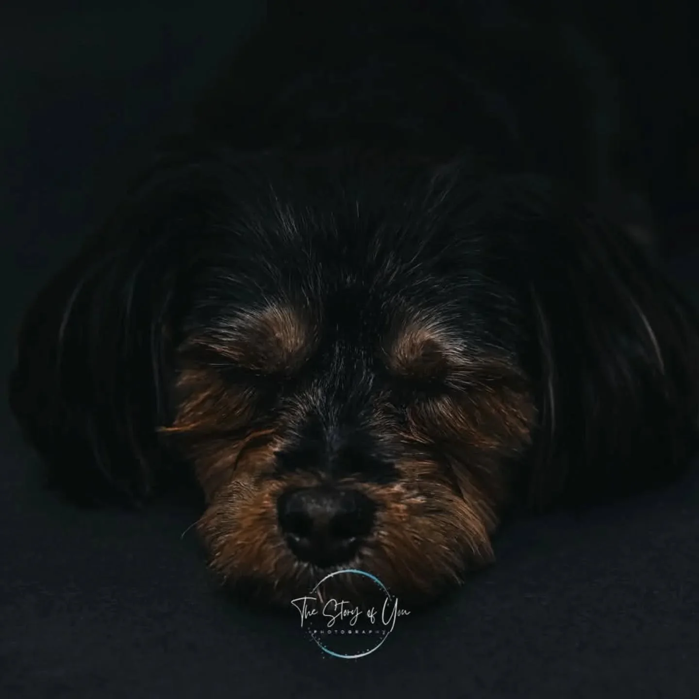 Been a very busy week and a busy weekend ahead, I could do with a nap too