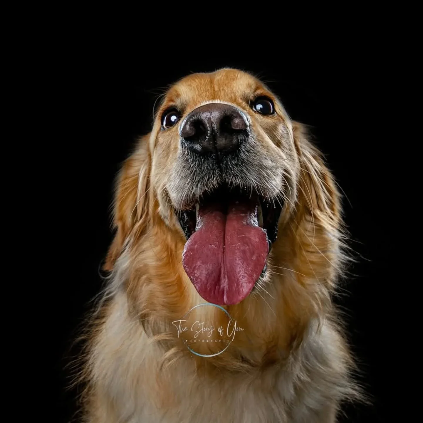 Beautiful Orla to brighten up a dark, wet miserable Monday 😊