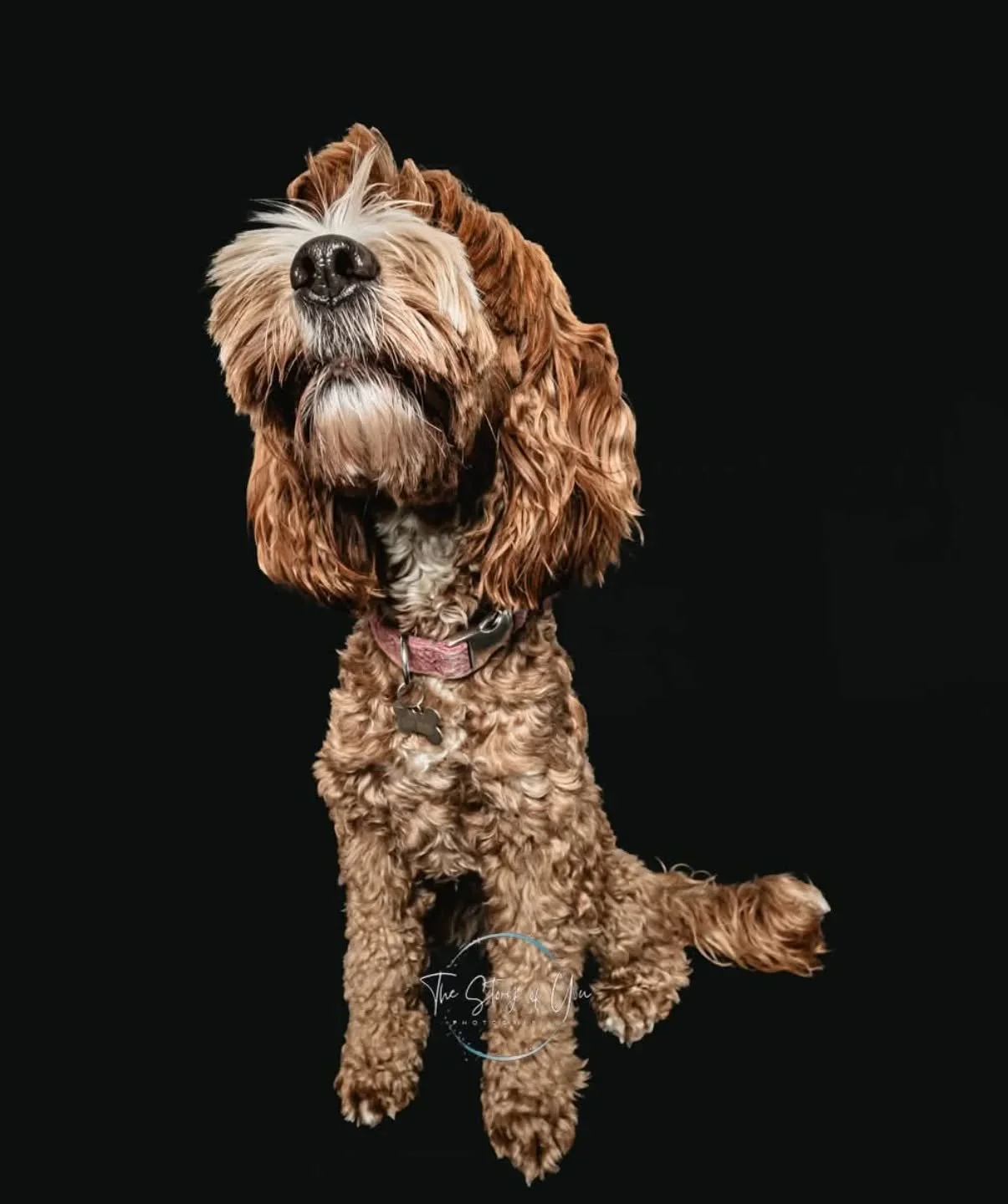 I feel like Friday's should be Boop Friday!