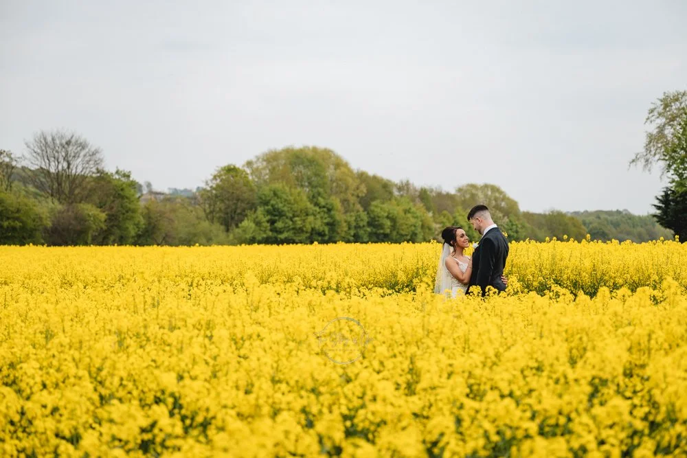 WEdding couple just married stood in yellow field