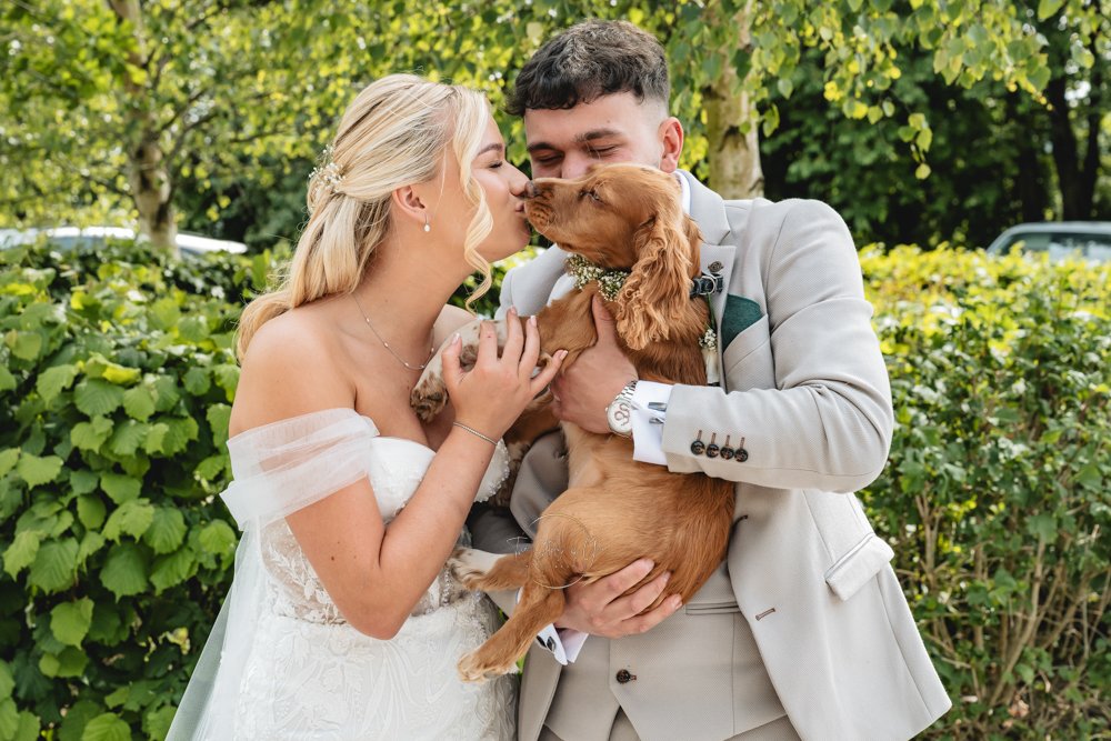 Bride and groom with their dog on the wedding day
