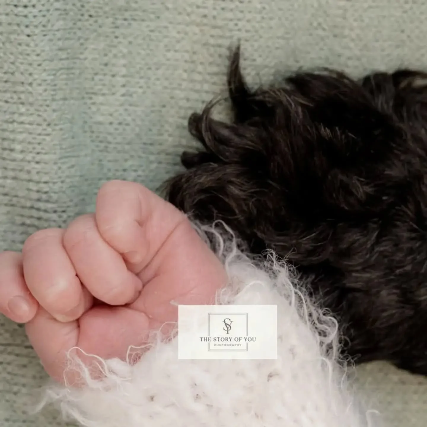Fist bumps with your best friend for life

Newborn photography @thestoryofyouphoto