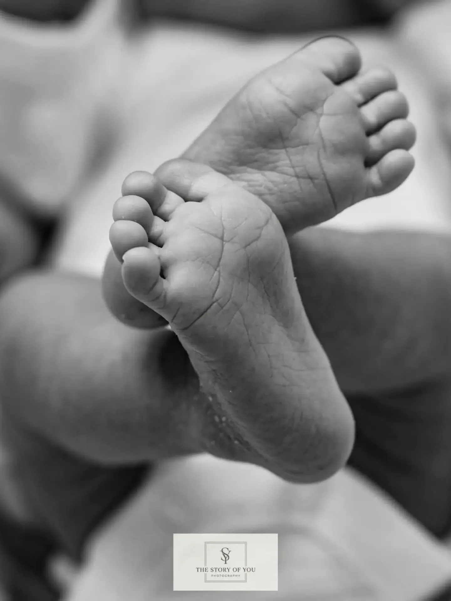 More beautiful newborns in the studio this past week! 

I qualified in Newborn photography in 2019. I thought it important to attend in person training specifically designed for newborns. During the training we learnt everything from safety to wrappi