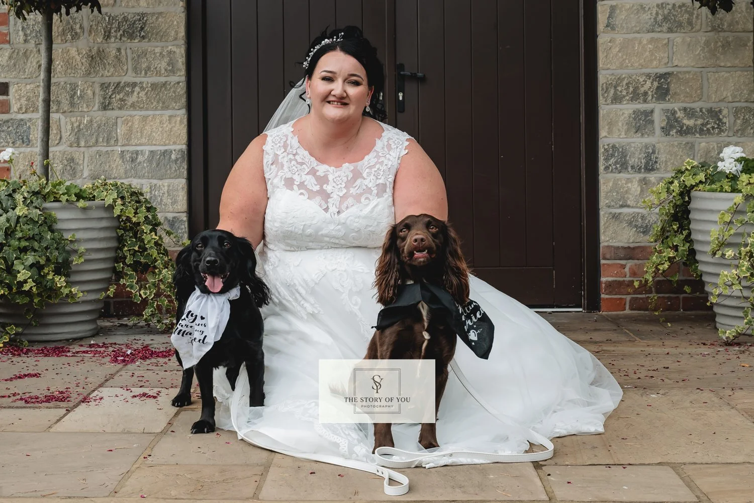 Bride with her two dogs