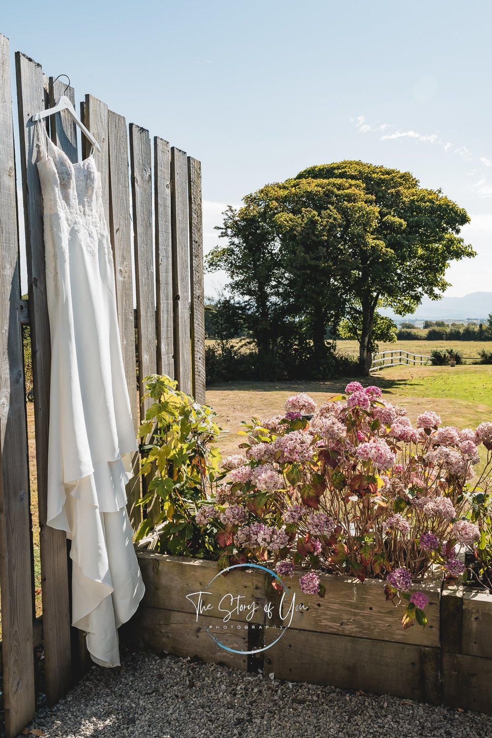Hen Blas country park wedding dress and views