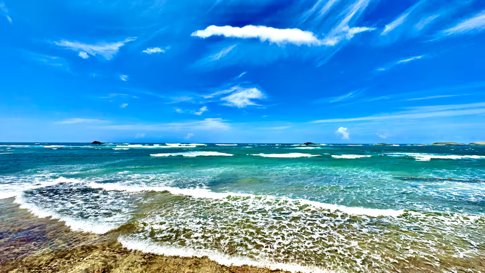 An Intimate Somatic Mindfulness Immersion (One-time payment)