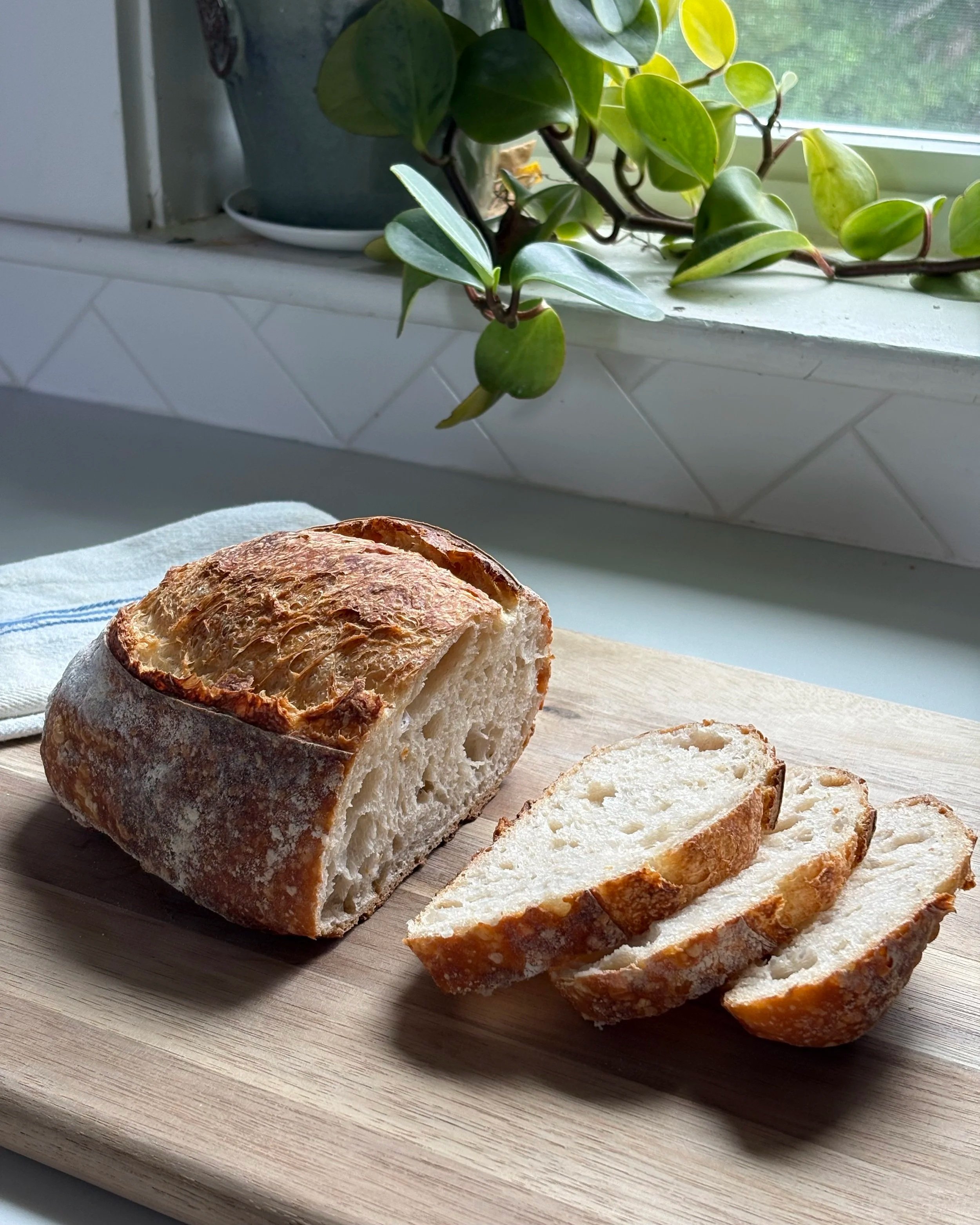 Sourdough, Breads, & Pastry
