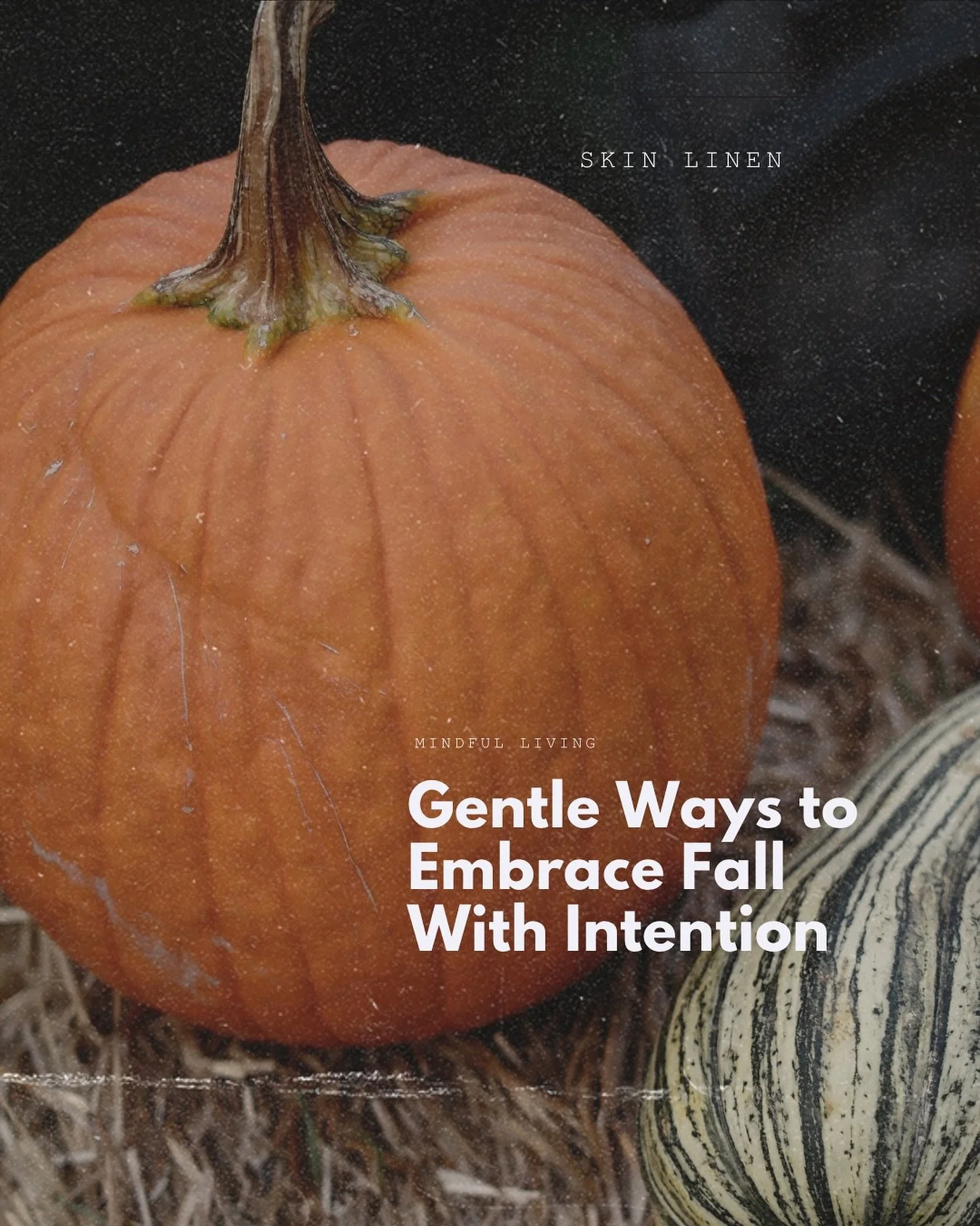 Finding Beauty in Autumn&rsquo;s Rhythm 🍁

As the air cools and the light softens, fall invites us to pause and realign. It is a season of renewal, letting go, making space, and finding comfort in simple rituals. Just as the trees release their leav