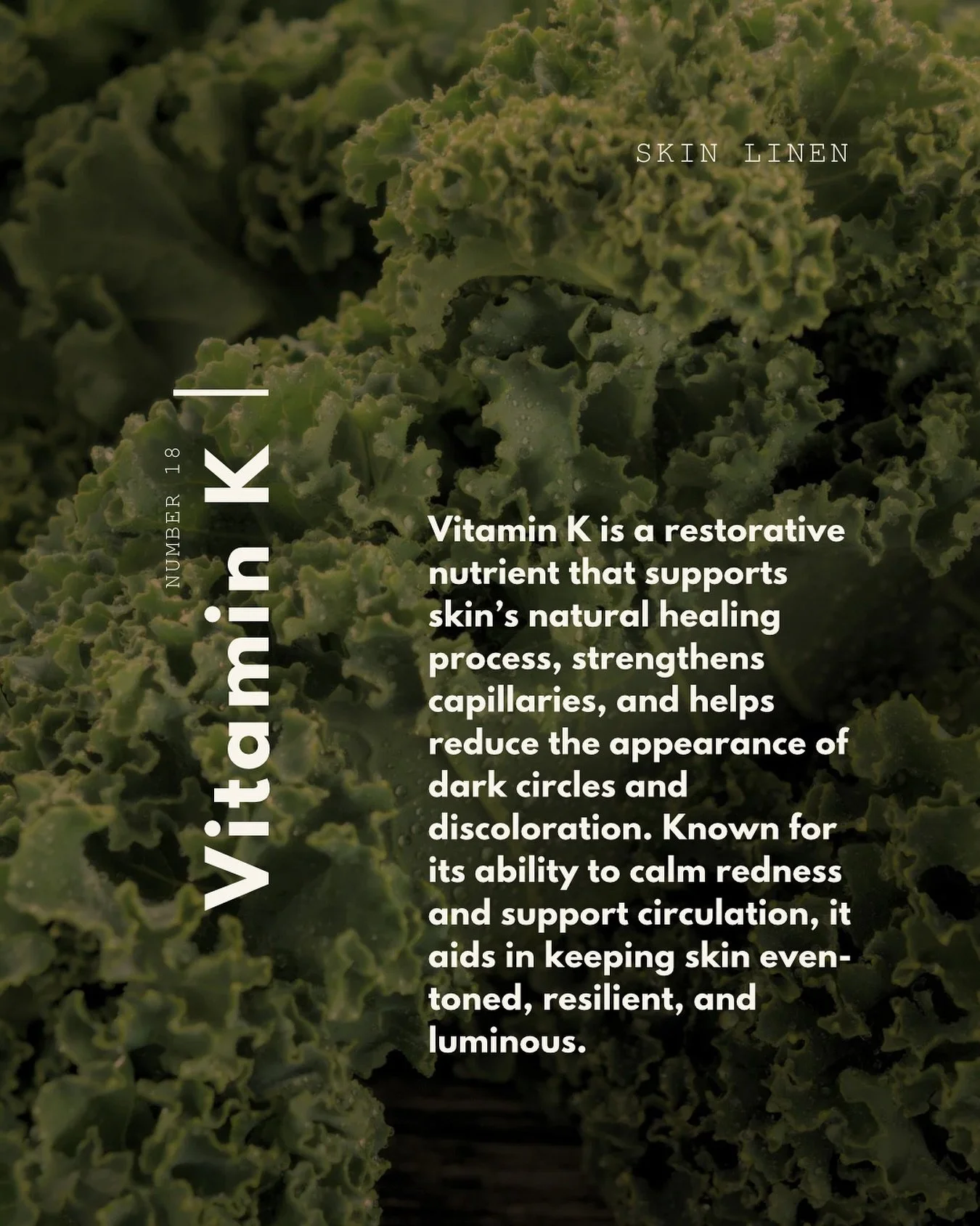 The Power of Vitamin K 🌾

Vitamin K plays an essential role in supporting the skin&rsquo;s natural repair and renewal. Known primarily for its role in circulation and healing, Vitamin K helps minimize the appearance of dark circles, calm redness, an