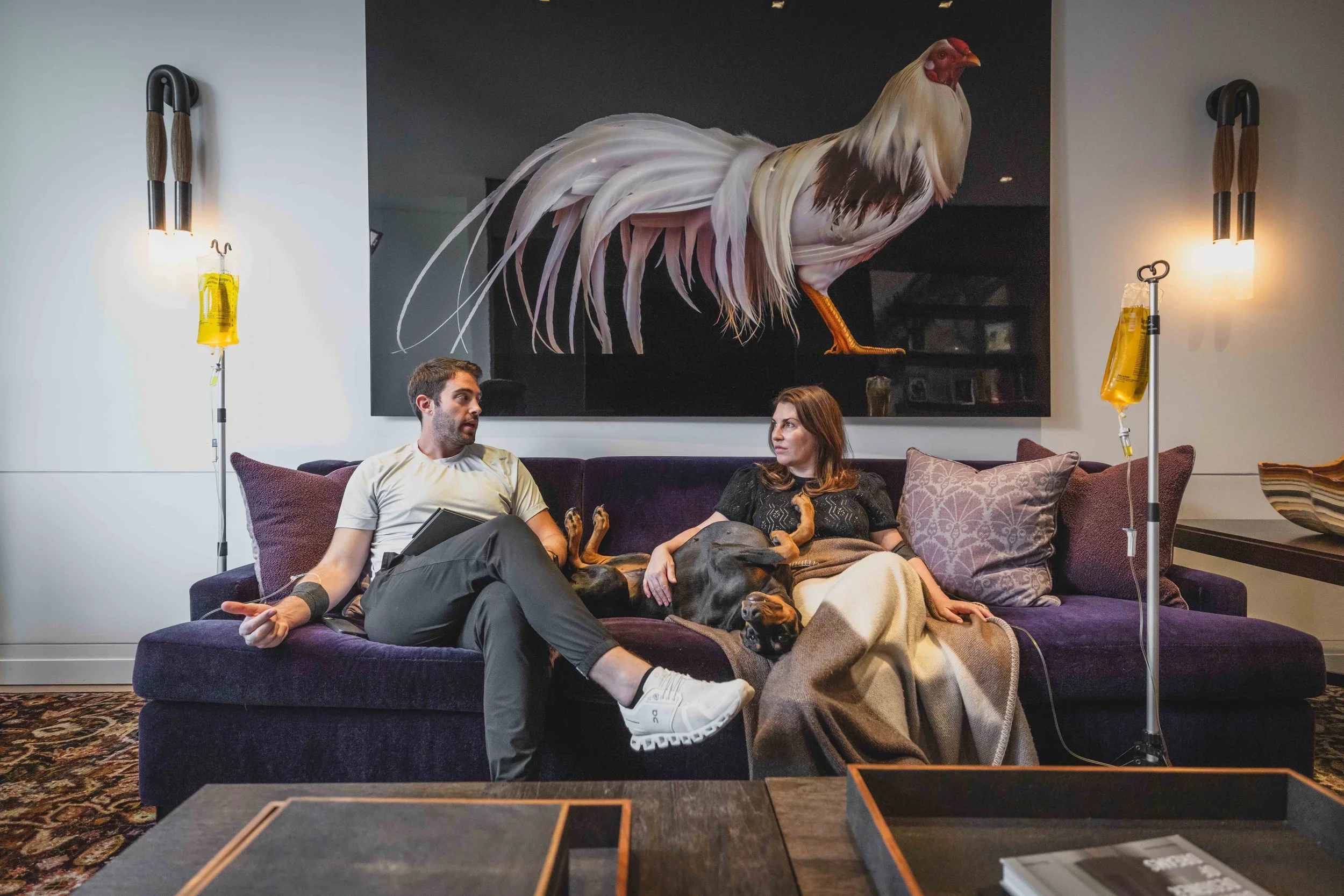 Two people and three dogs sitting on a purple couch in a living room. The man on the left is holding a tablet, the woman on the right has a blanket over her lap. Two IV bags are hanging on stands beside the couch. A large painting of a rooster hangs on the wall behind them.