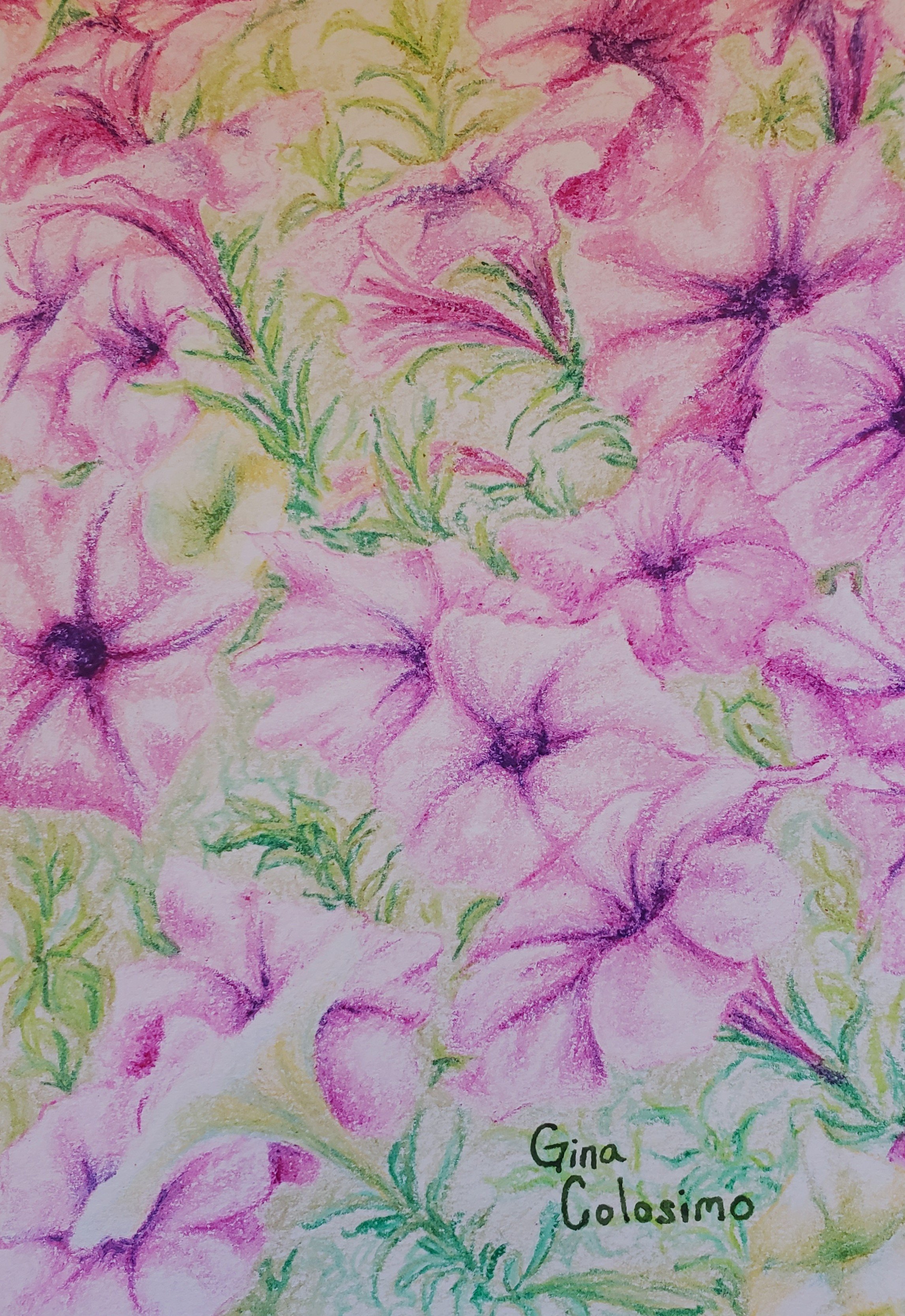 Morning Glory Overlook | 2025 | Crayon on Paper | 9.5" x 7"