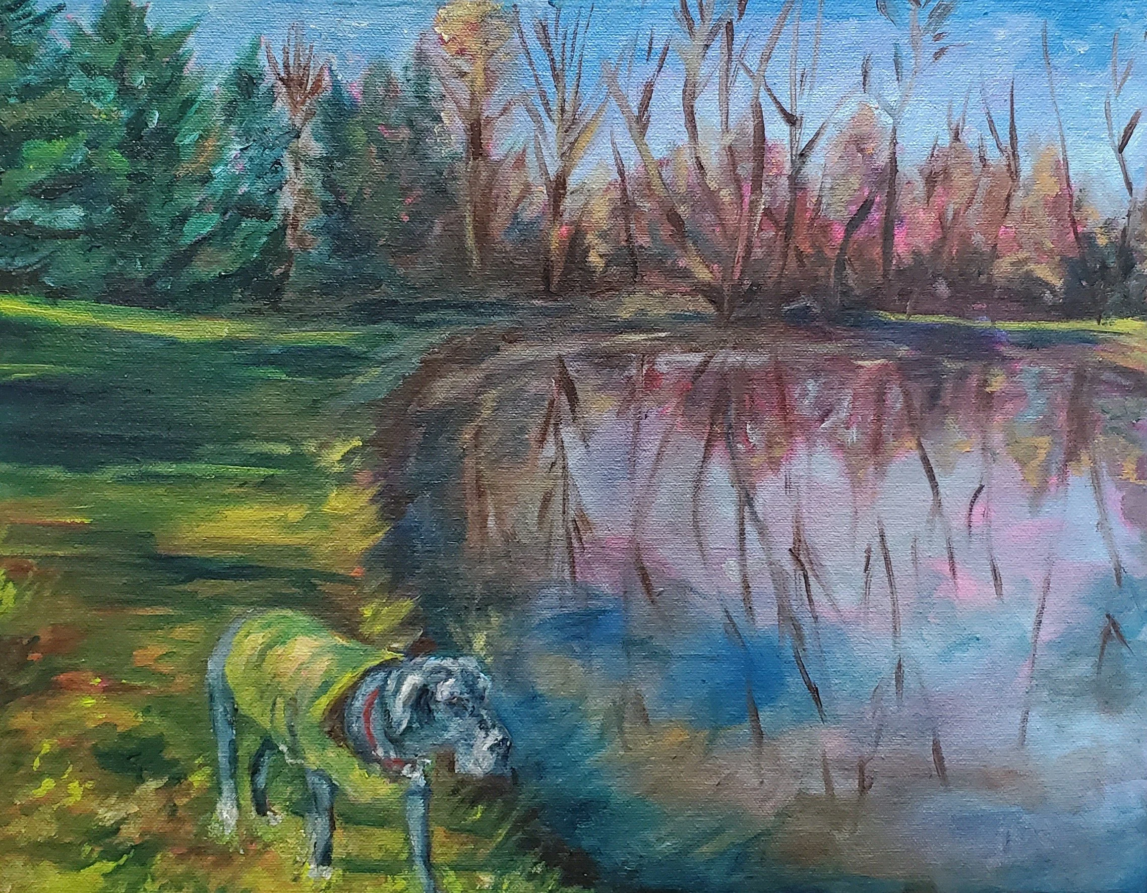 Fergo's Pond | 2024 | Oil on Canvas | 14" x 16"