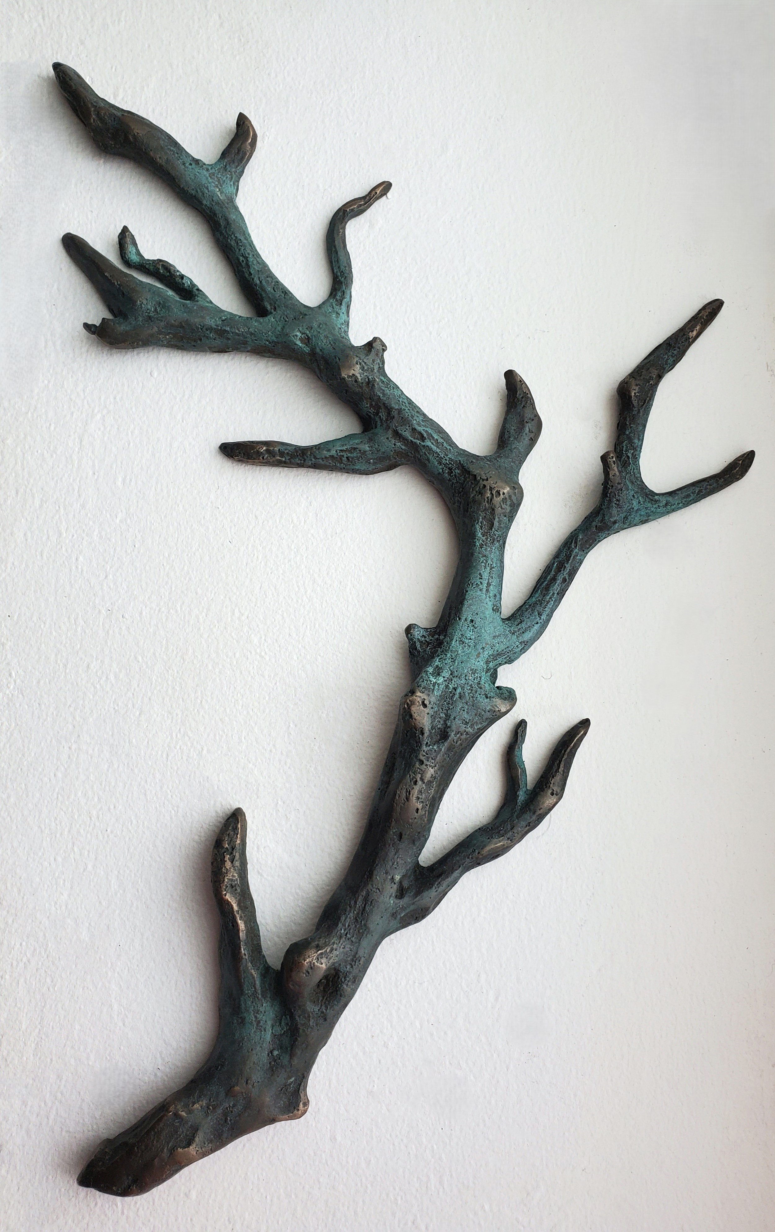 Bronze Branch | 2024