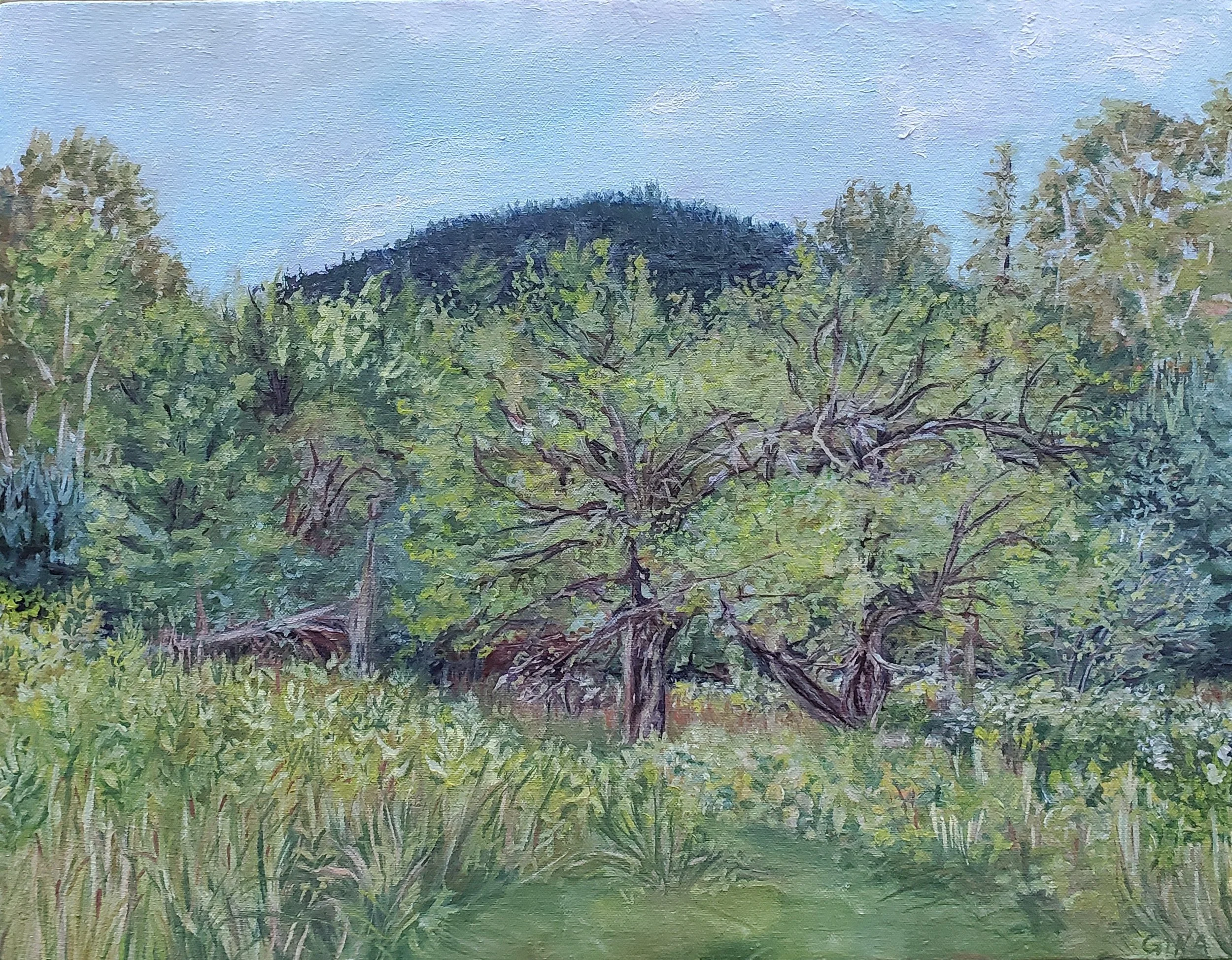 North Creek Plein Air | 2025 | Oil on Canvas | 14" x 16"
