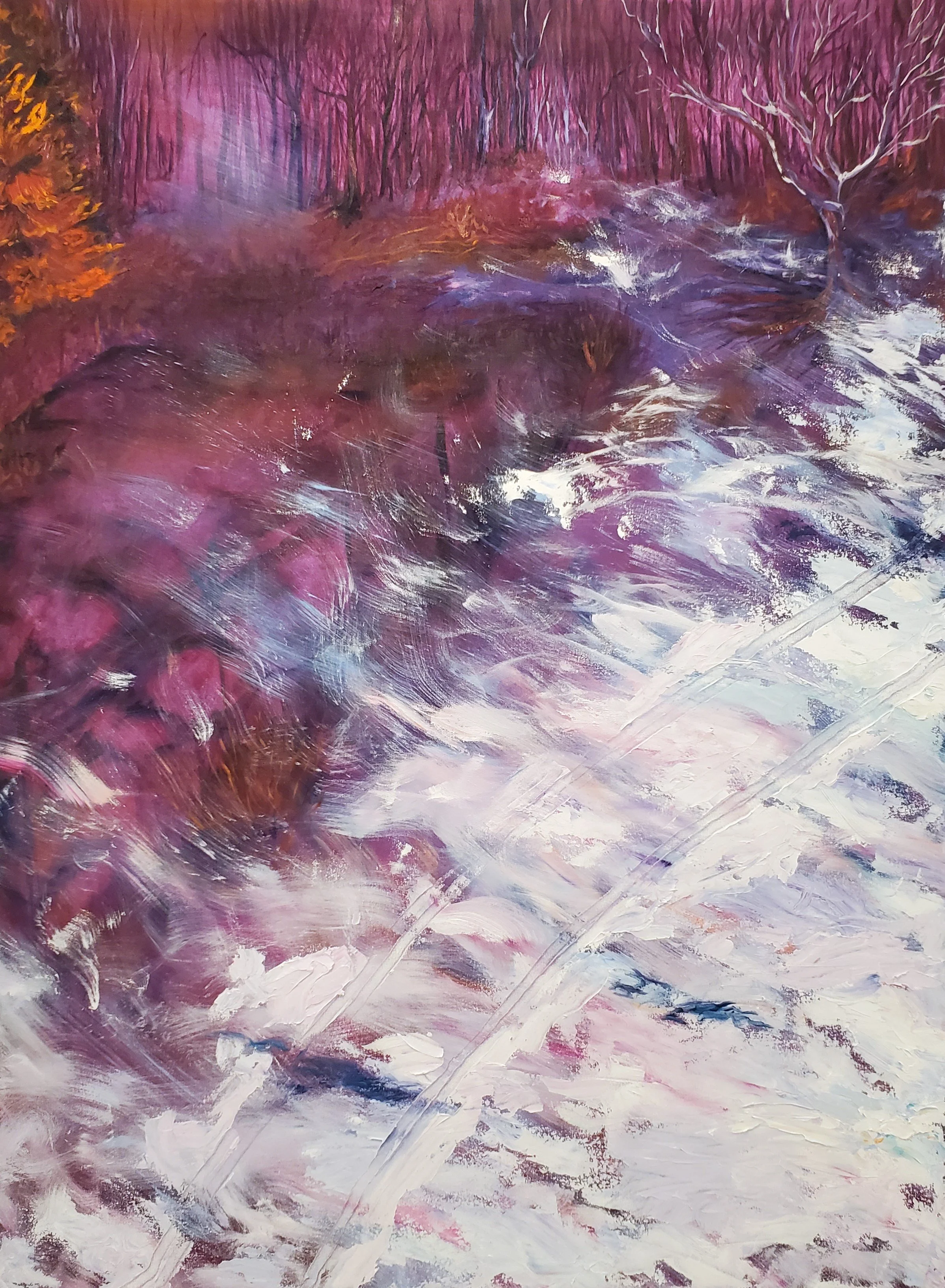 Daisy Trails | 2025 | Oil on Stretched Canvas | 48" x 36"