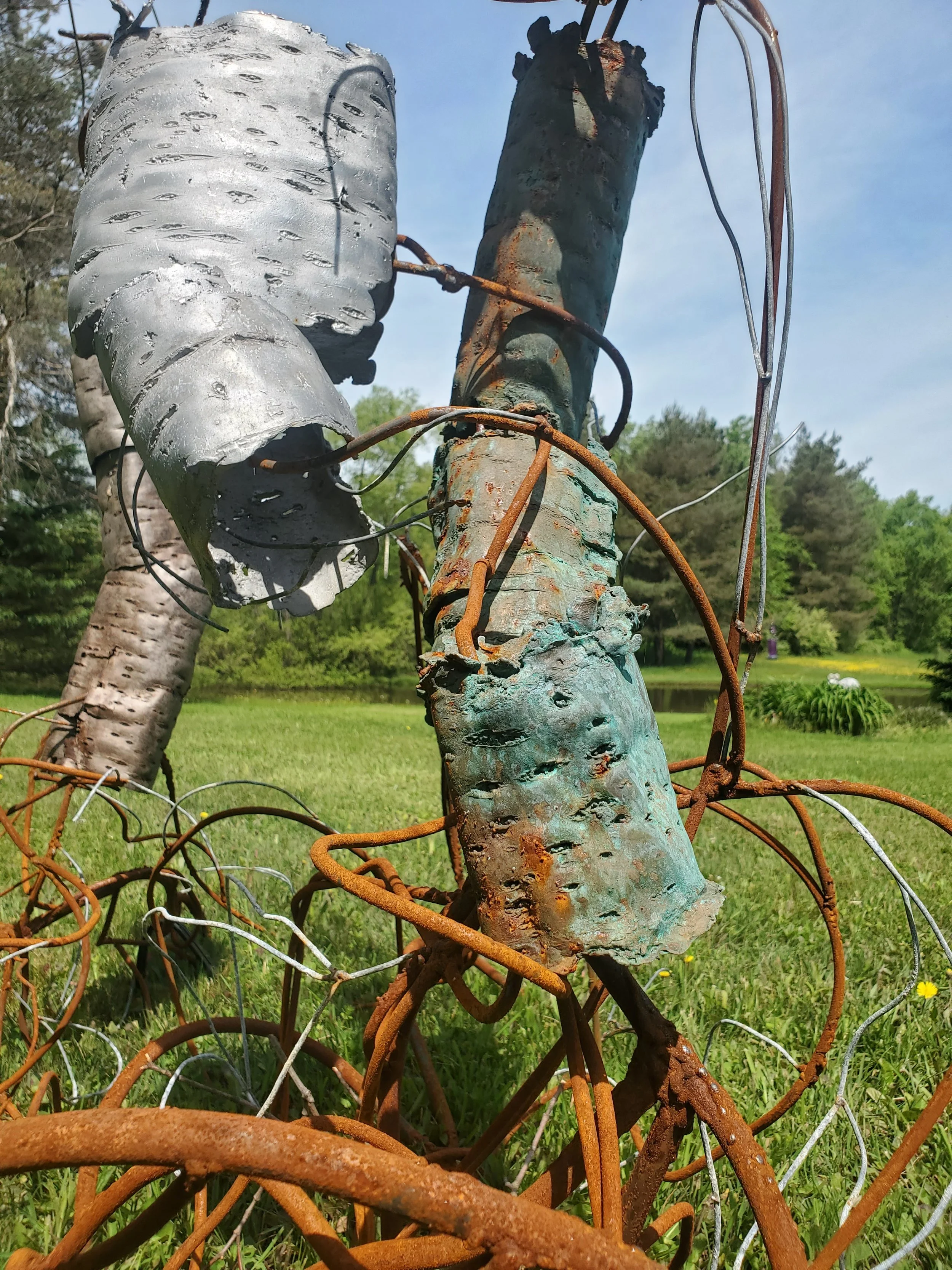 Carry on in Resemblance (Permanent Install) | 2025 | Cast Bronze and Aluminum, Round Stock, Wire, Welds, Birch Bark | 101" x 30" x 72"