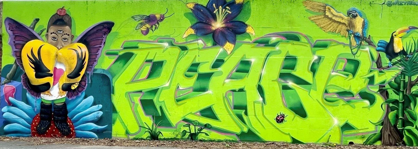 DO ANYTHING BUT STOP - MIZTA MTC