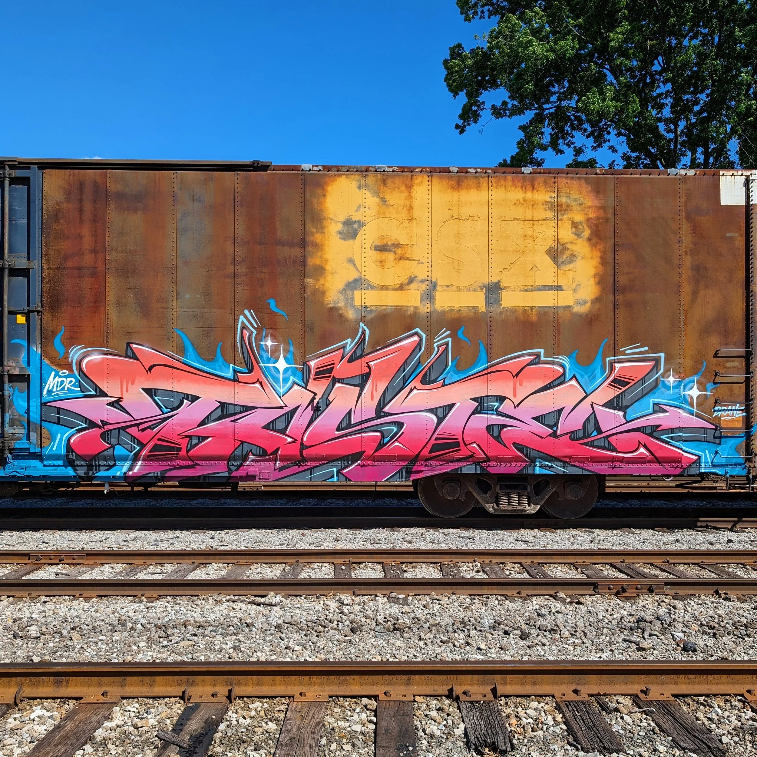 76AFE225-0257-44AC-82C2-606F6F16F09A - Charles Taste.jpeg