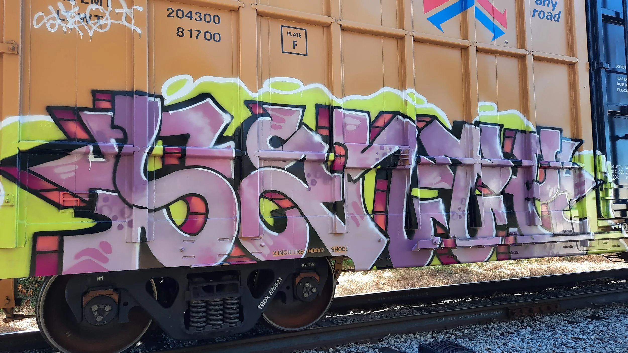 20231022_142034 - David Mitchell.jpg