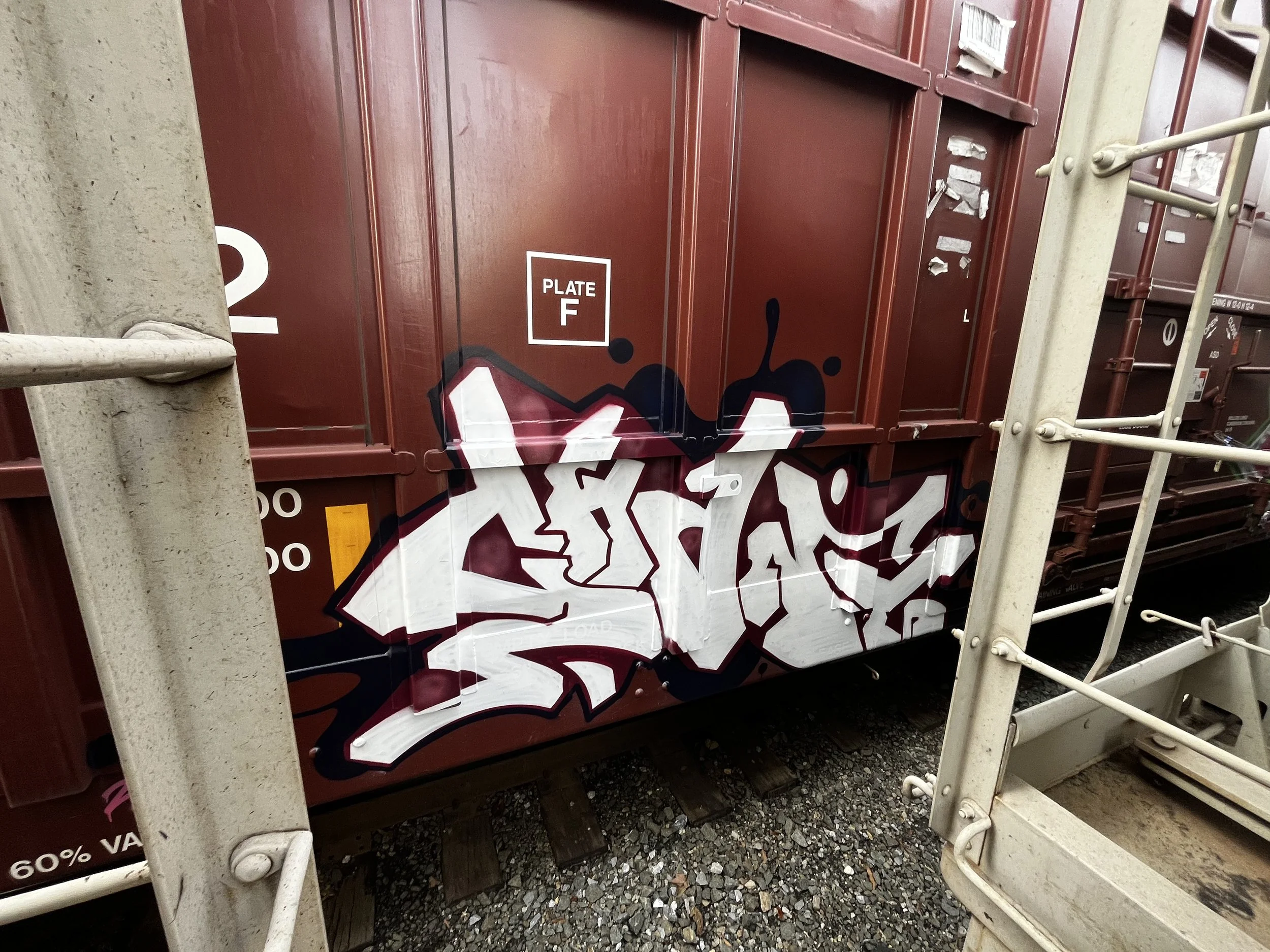 08999DCB-A3D6-4427-87C3-BC749C08C7F7 - chantleman.jpeg