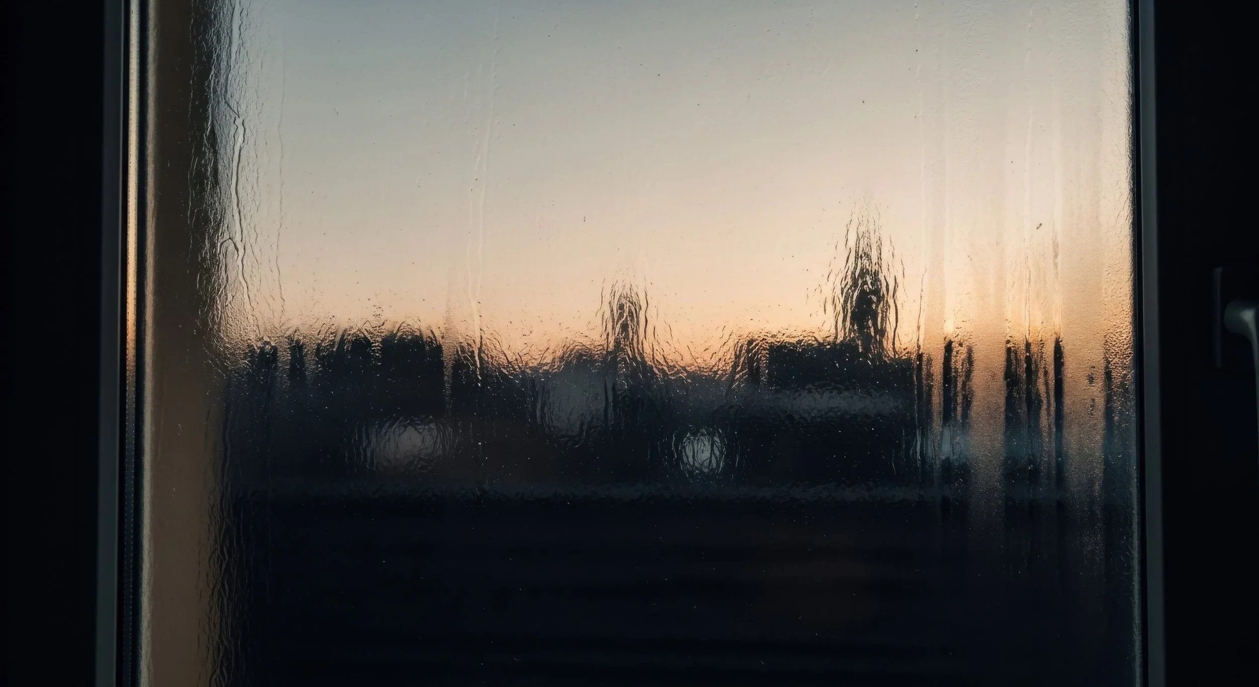 BUS RIDES AND BOOM BAP