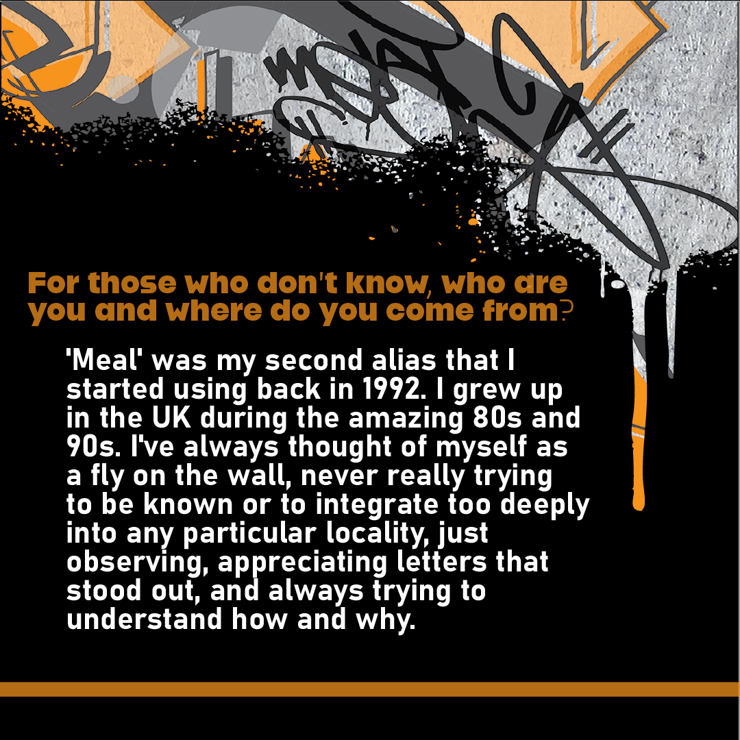 mealsneakpeek-02.png