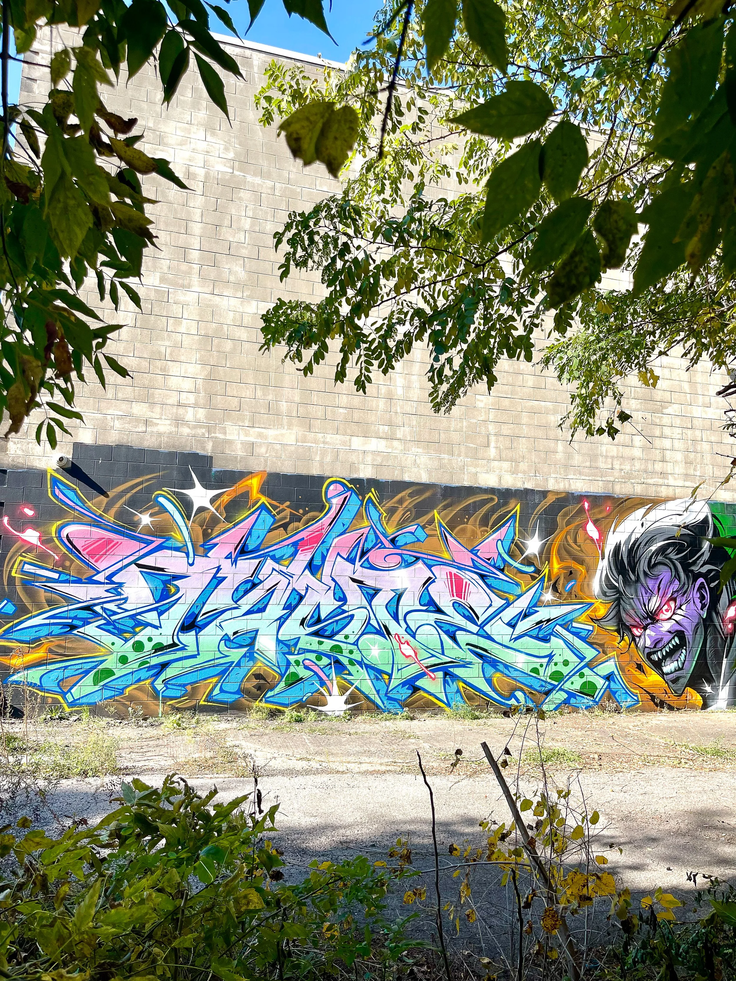 large vibrant graffiti lettering mural with an anime character illustration on brick wall of building