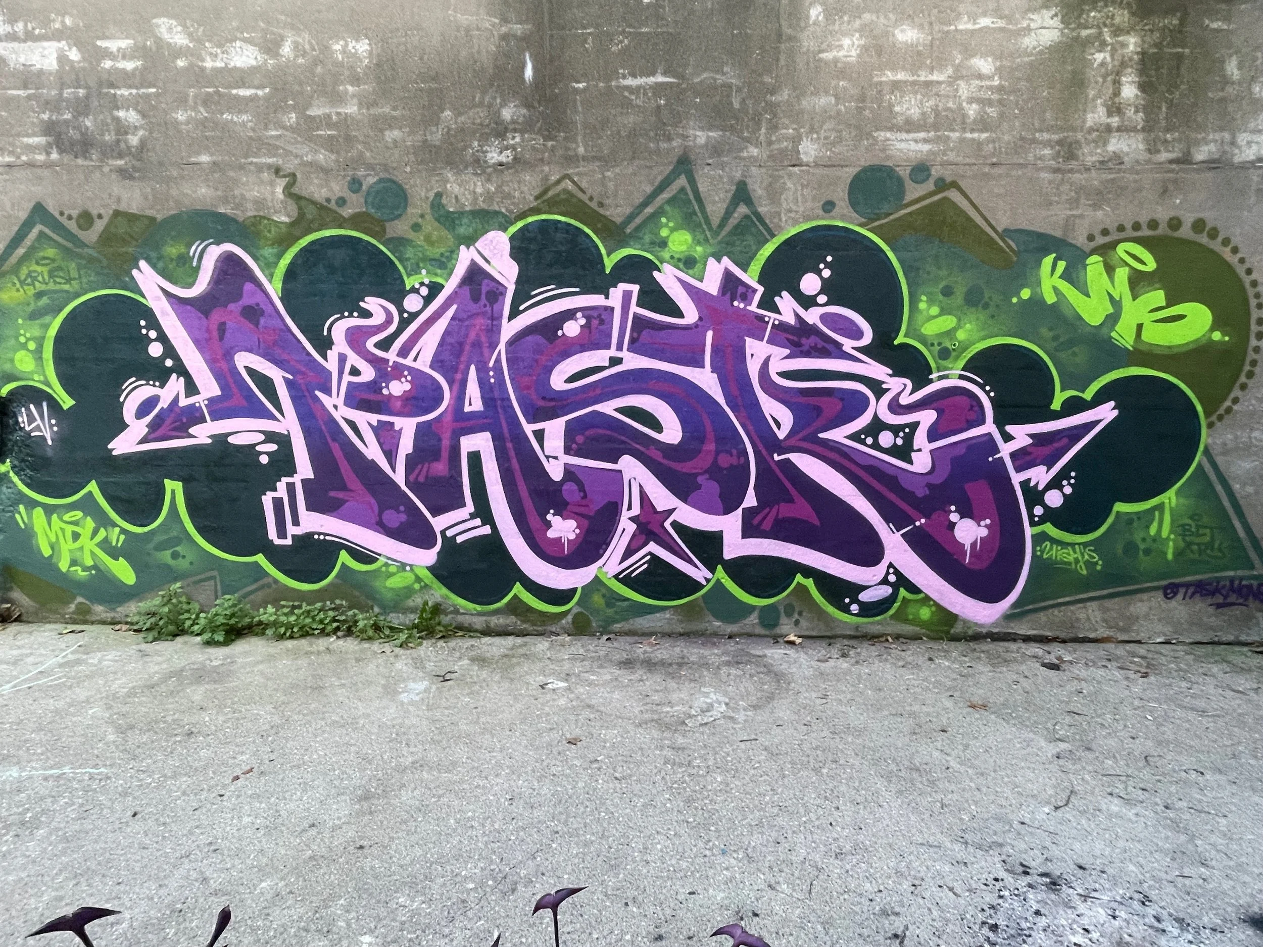 IMG_3505 - Mizy Mike.jpeg