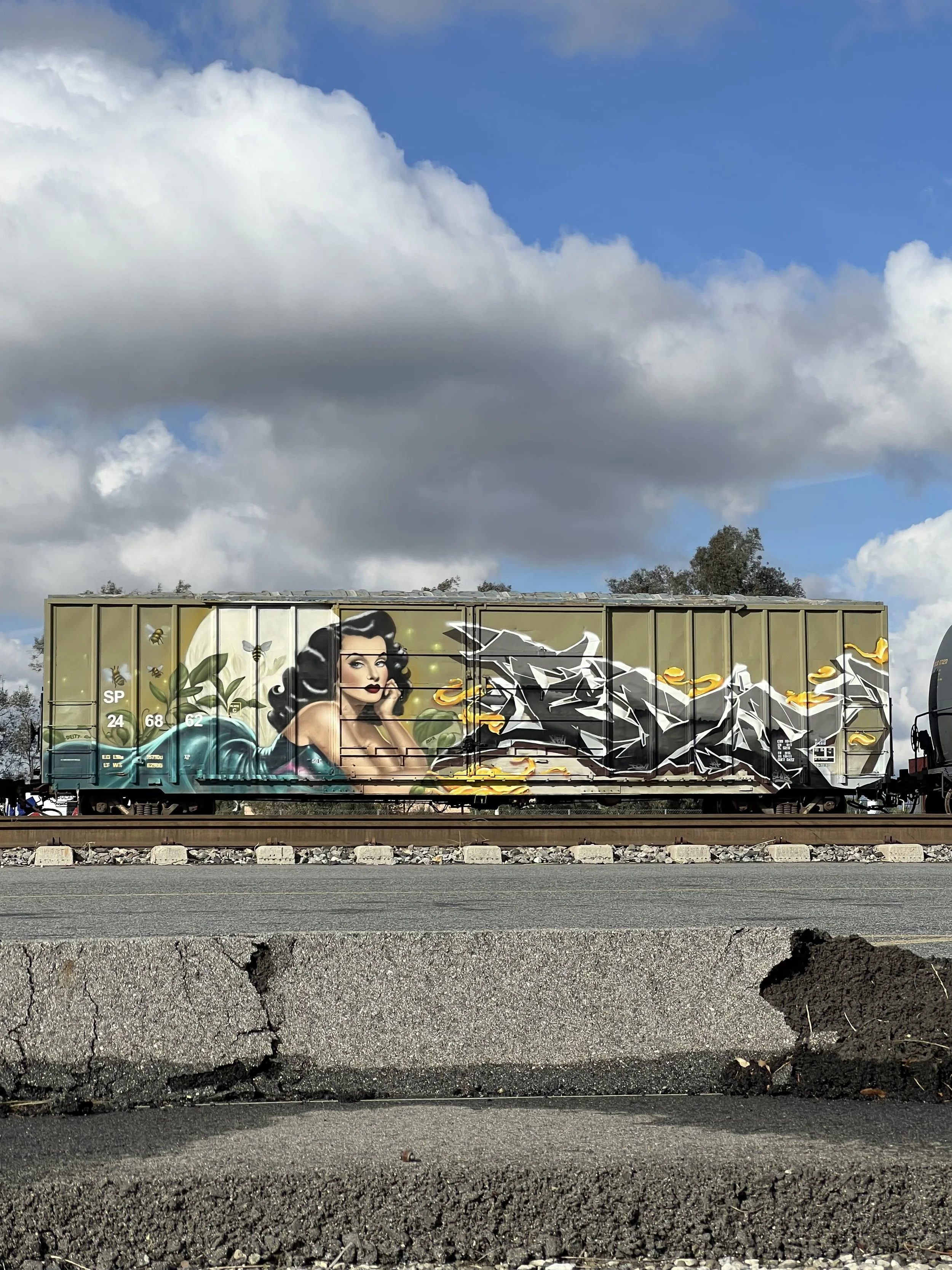 beautiful mural of a pin up style woman painted on a train car with stylish graffiti lettering top to bottom in neutral 3 dimensional colors