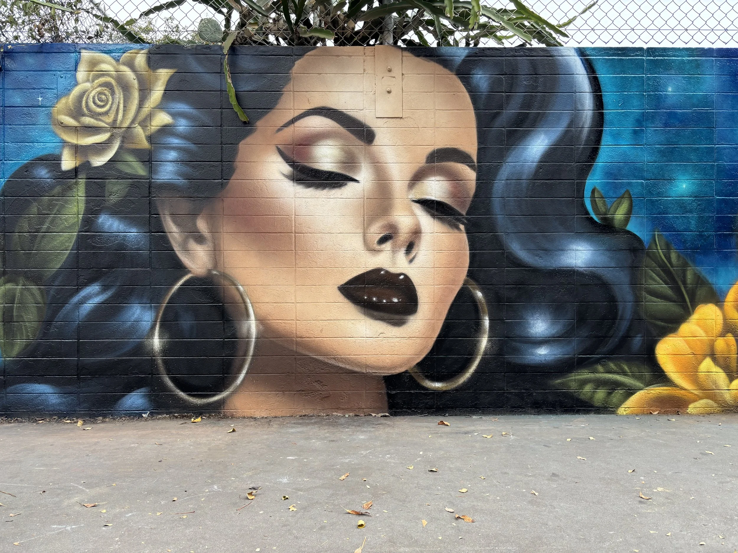 painting of a pin up style womans portrait on a concrete wall with flowers and leaves painted with spray paint
