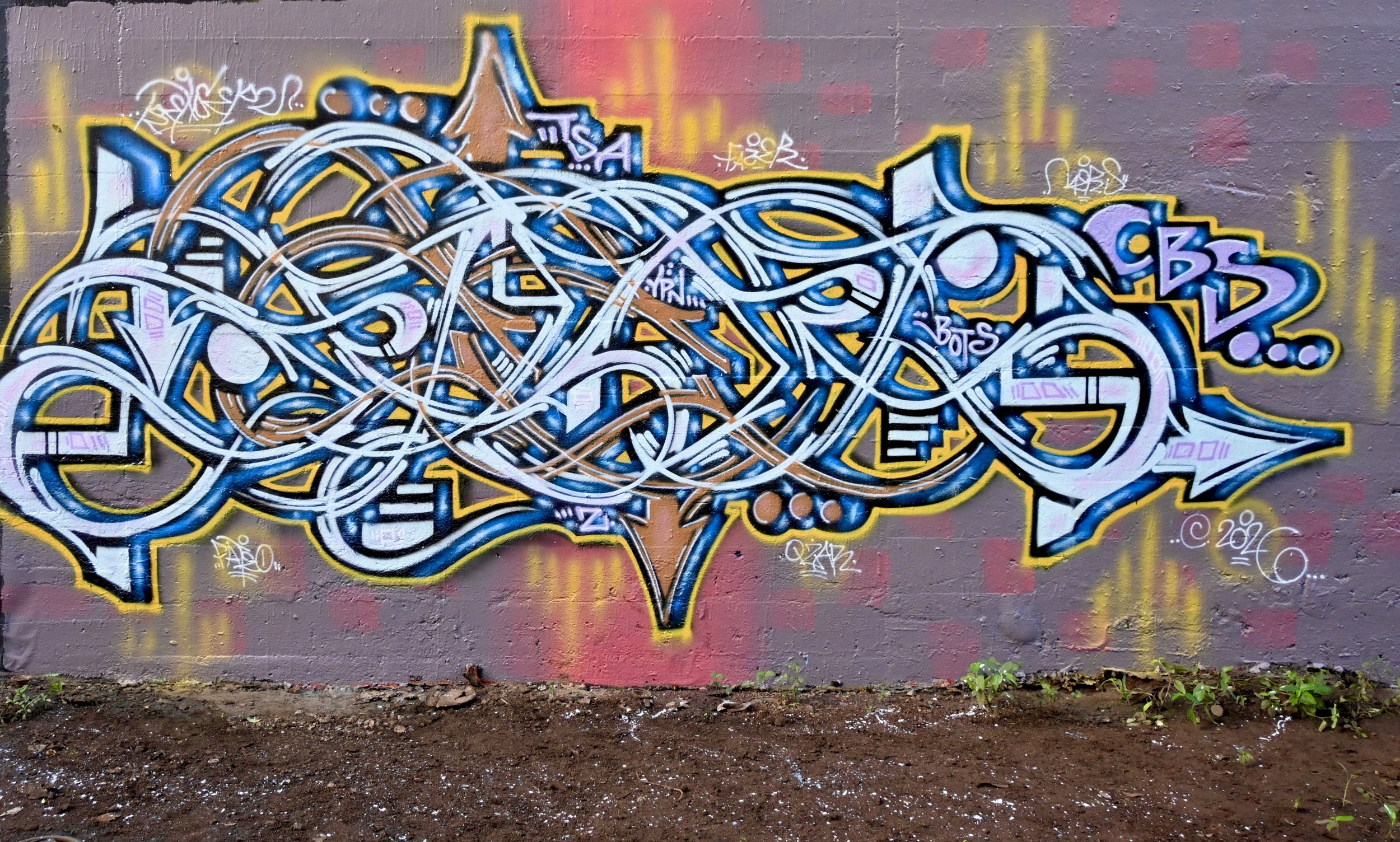 DSC_1535.jpeg