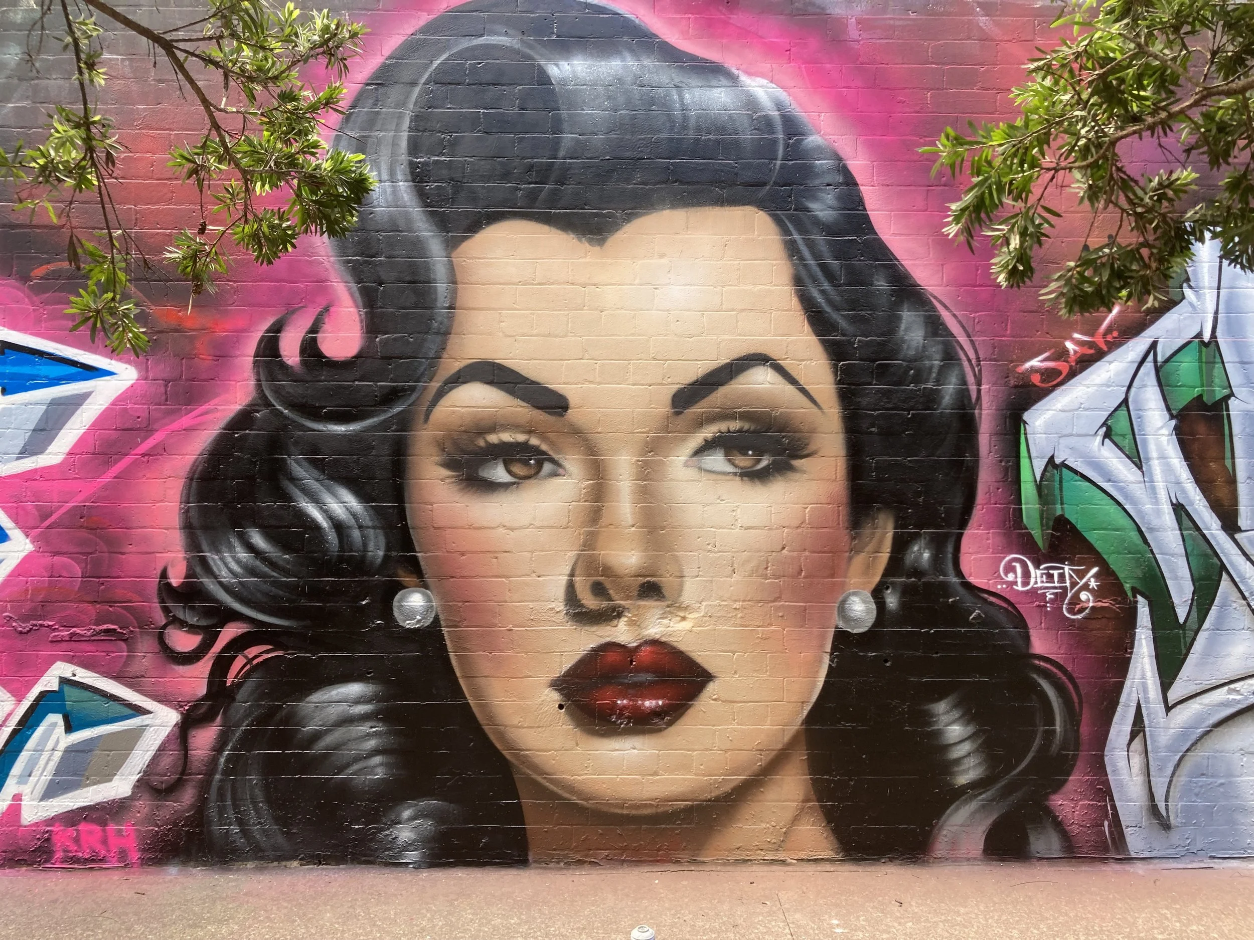 Painting of a pin up style womans portrait on a concrete wall next to bright graffiti art and plants surrounding the wall