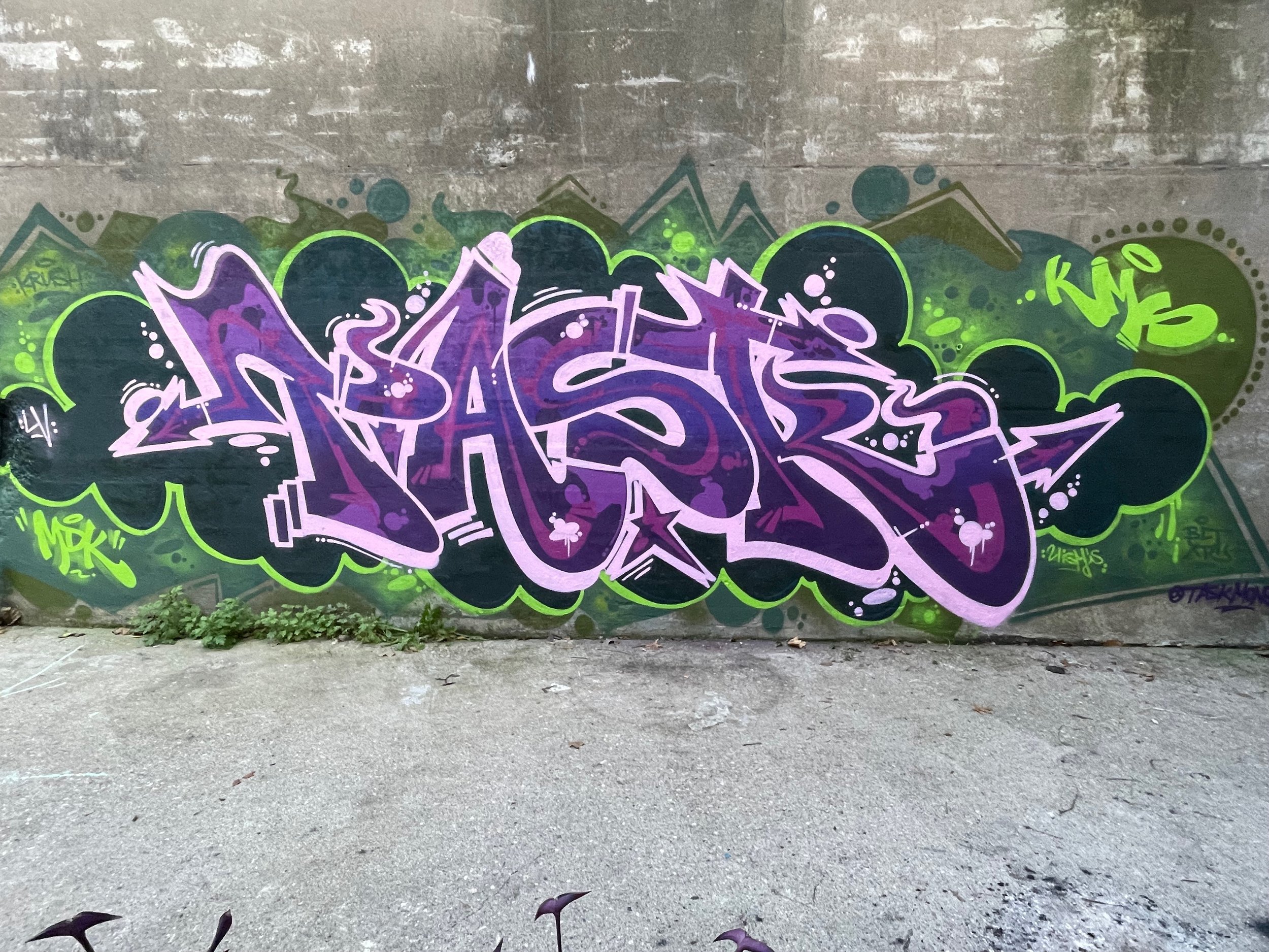 IMG_3505 - Mizy Mike.jpeg