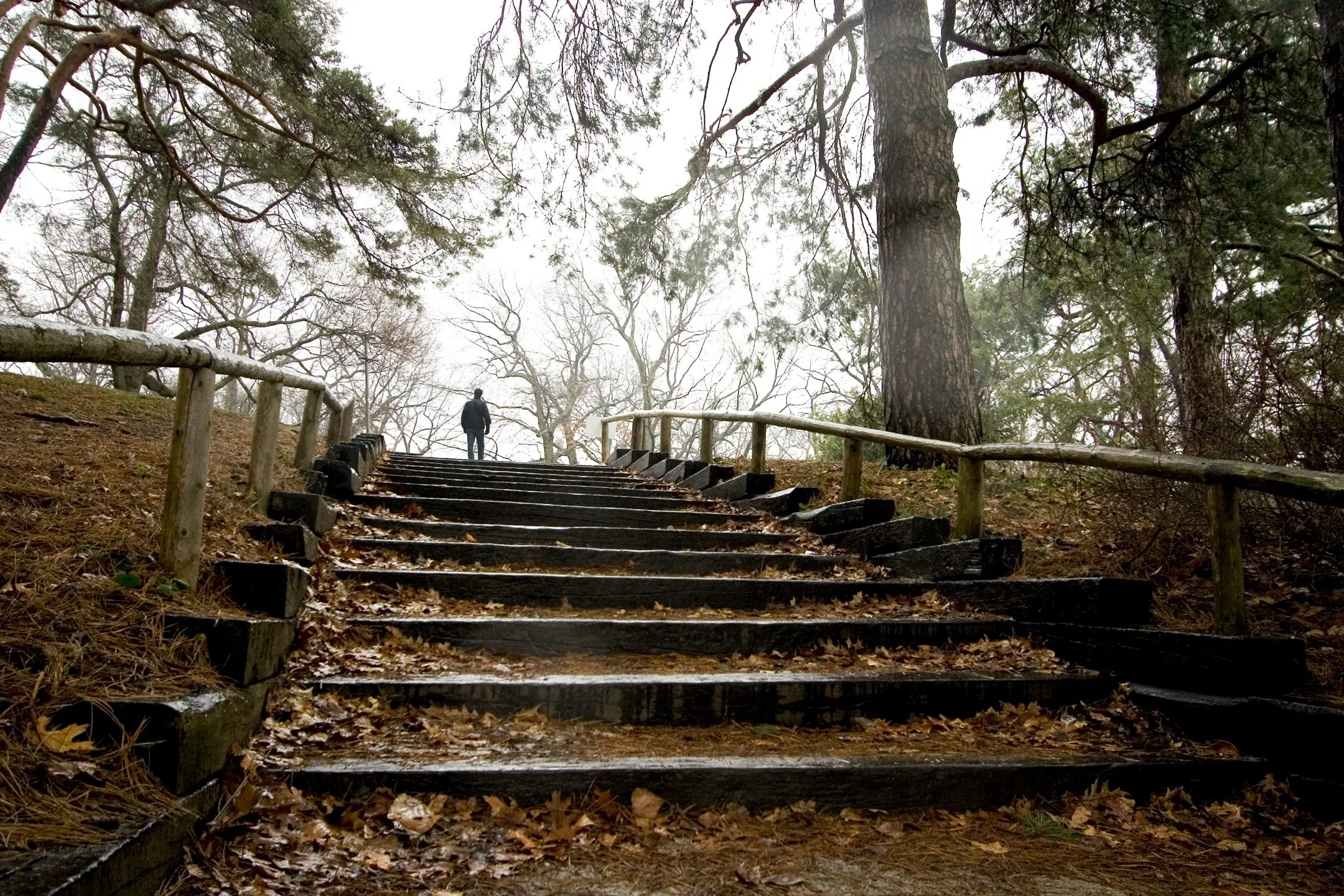 Lonely Man High Park Steps.jpg