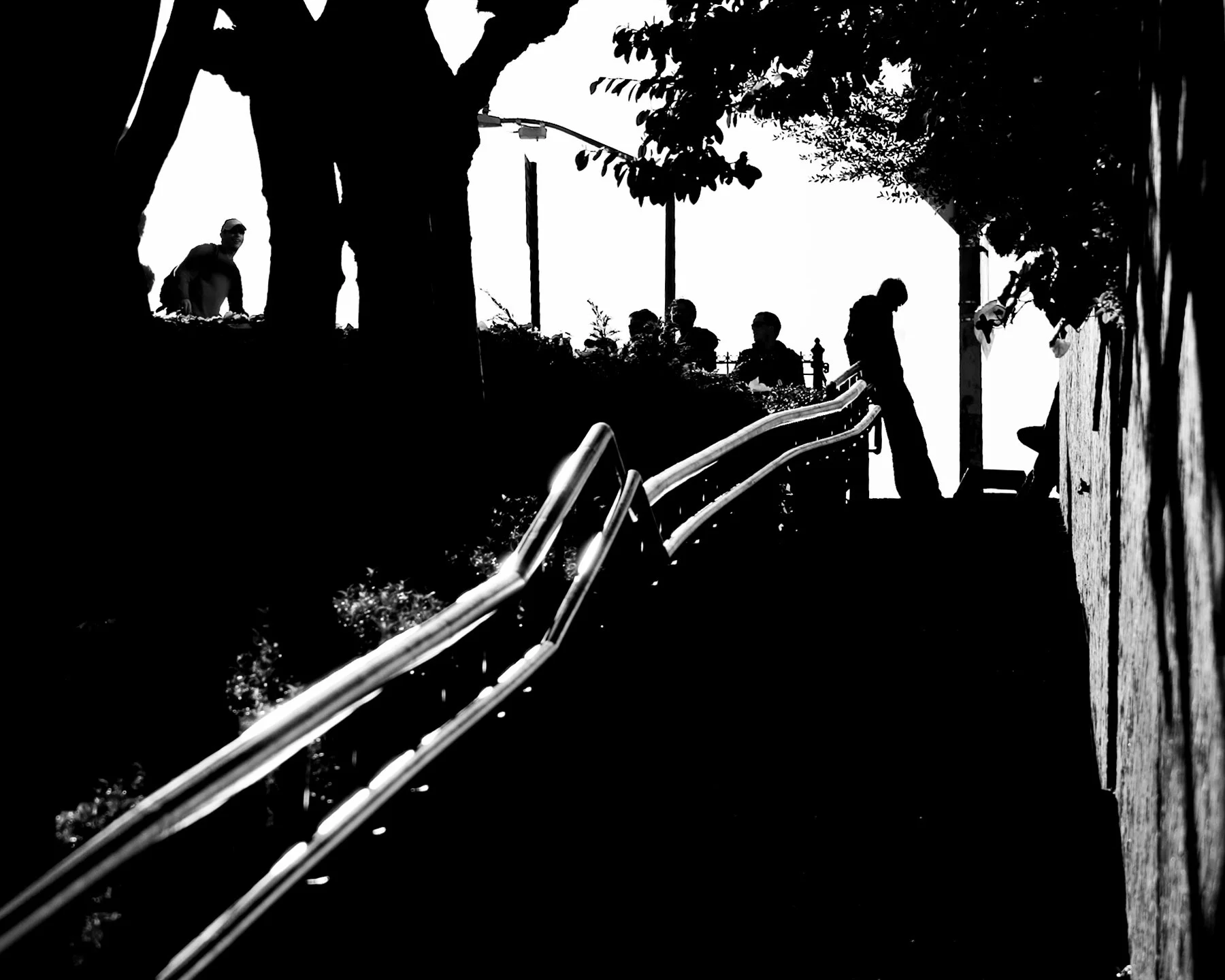 Looking Up at Looking Down III CRW_3868_2bnw.jpg